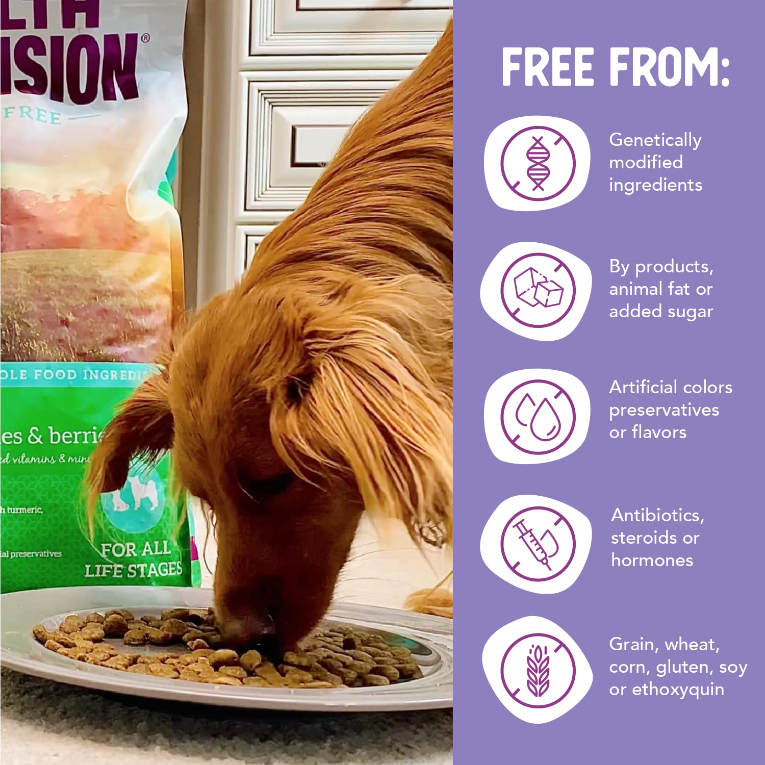 Health Extension Grain Free Duck & Sweet Potato Dry Dog Food (23.5 lb / 10.66 kg) - Lean Protein Formula with Turmeric & Antioxi