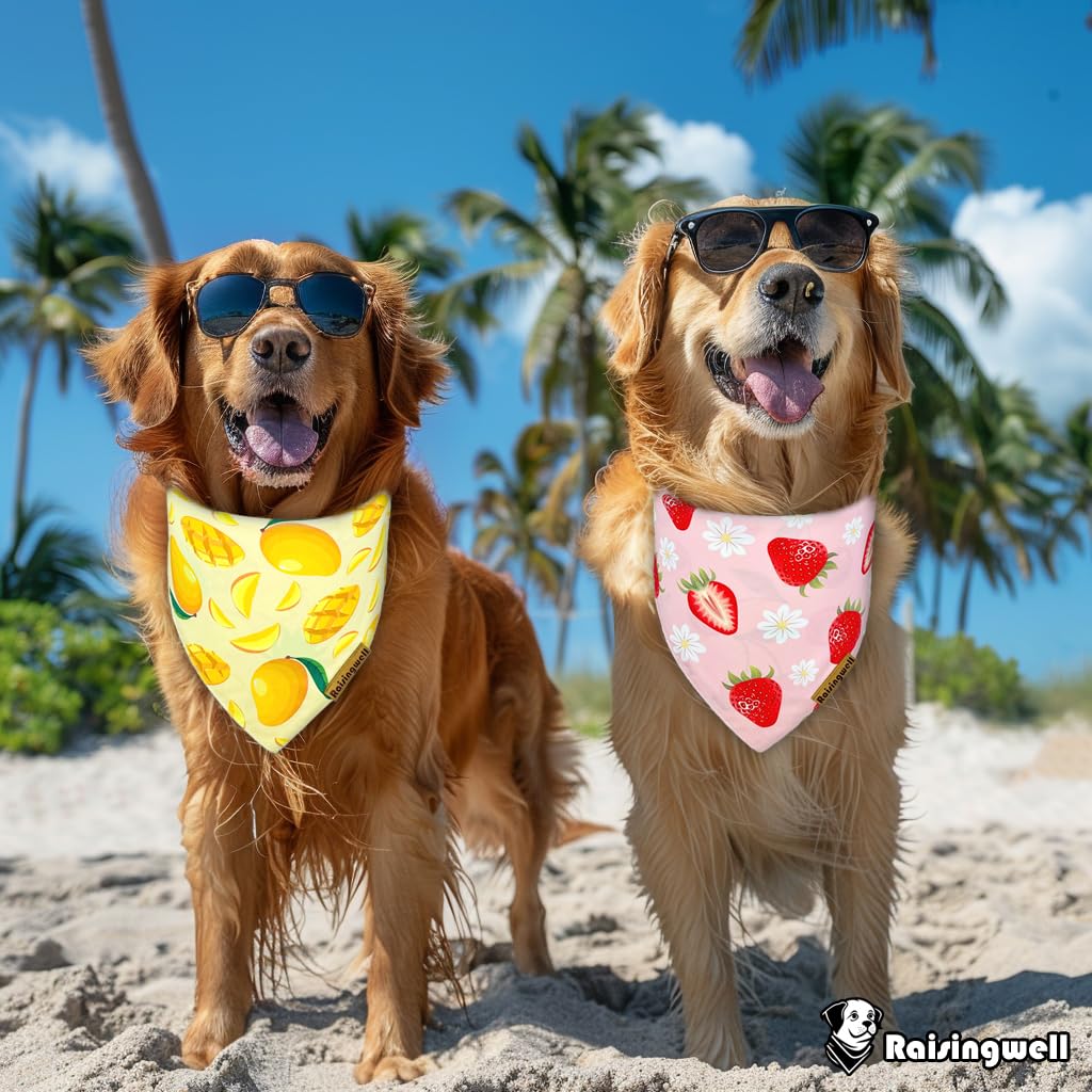 Raisingwell Summer Fruit Dog Bandanas 2 Pack 4 Pattern Reversible, Holiday Bandana For Boy And Girl, Premium Durable Fabric, Par