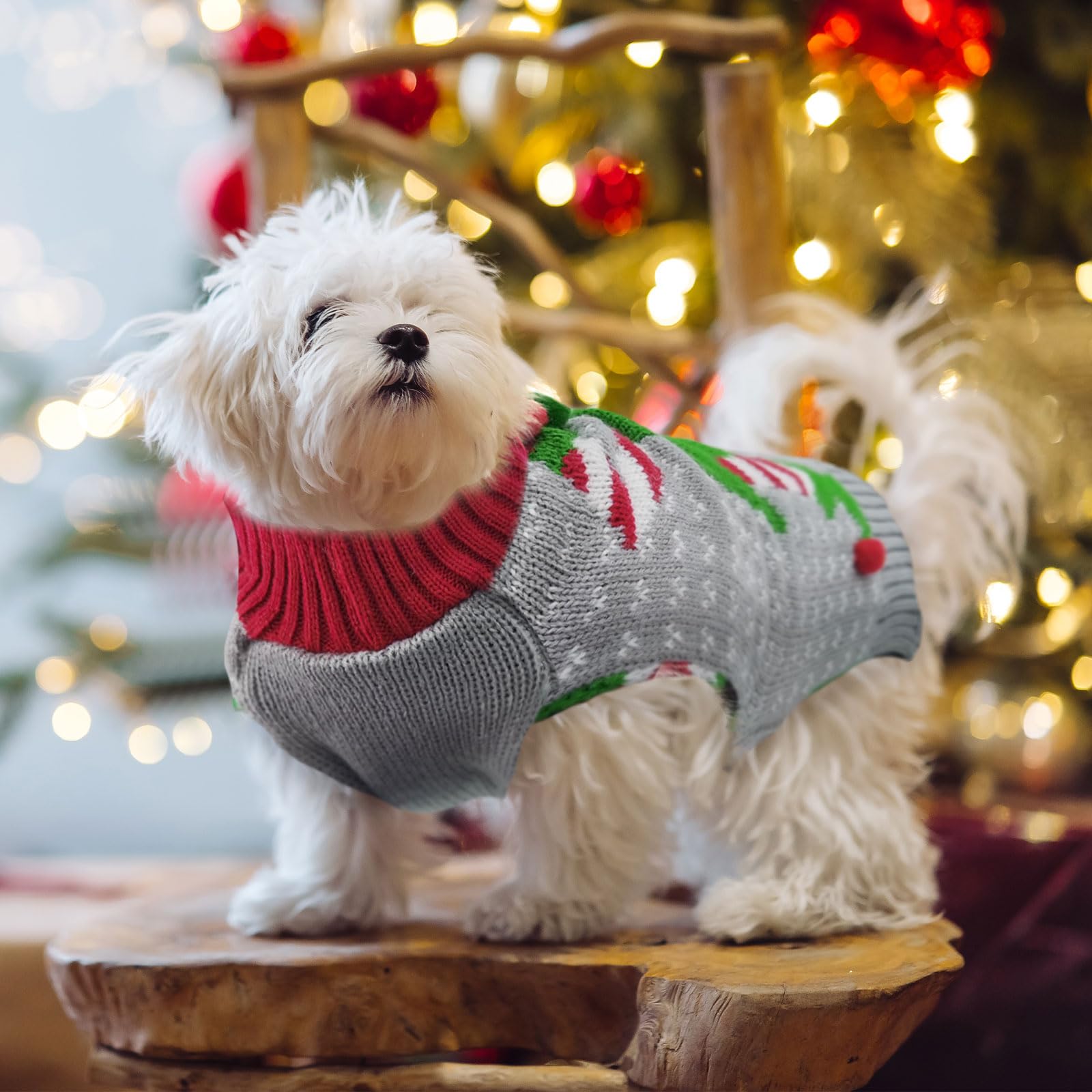 Doggyzstyle Dog Cat Ugly Christmas Sweater Boy Girl Xmas Pet Clothes Holiday Puppy Costume New Year Gifts For Small Medium Large Dogs Outfits (S, Grey Elf)
