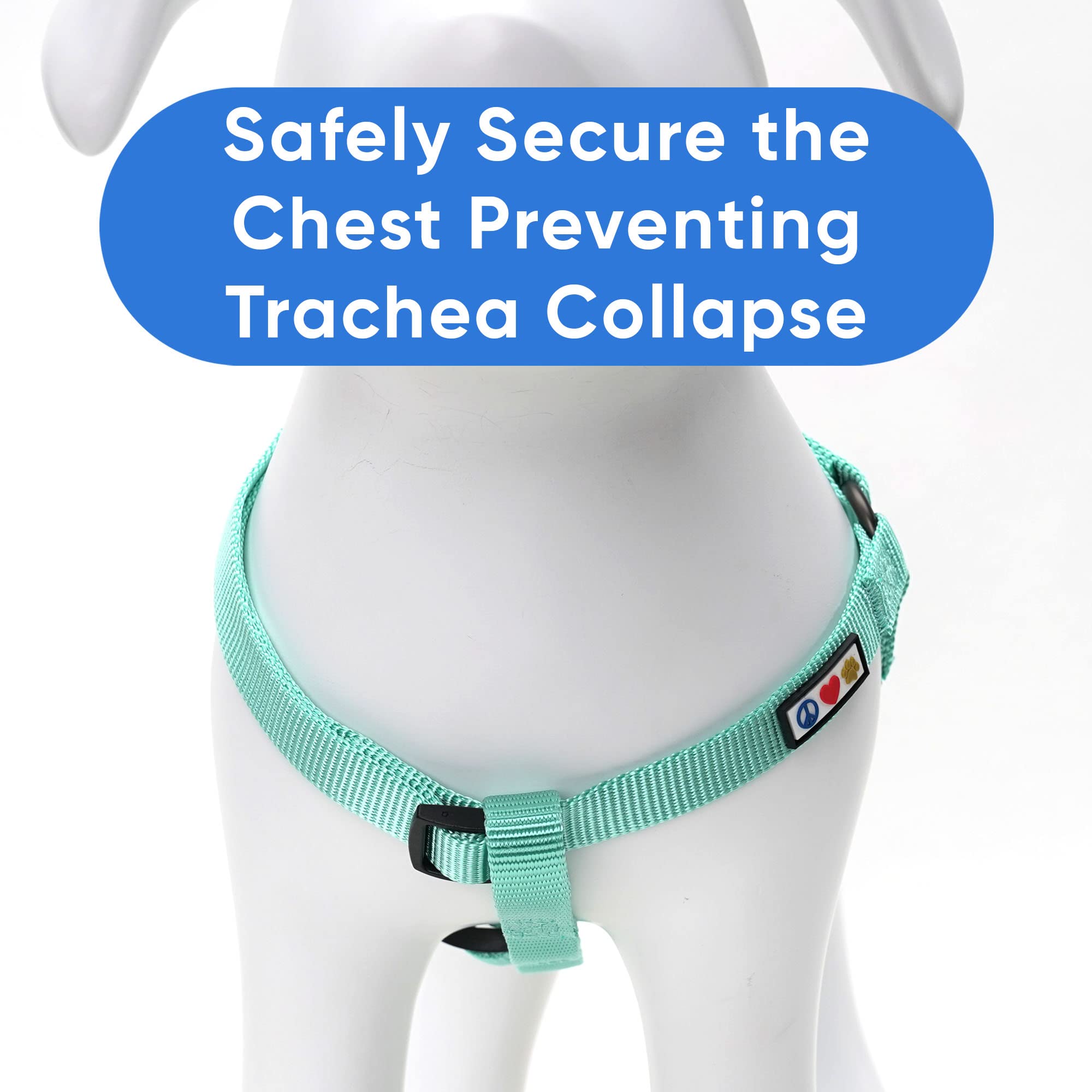 Pawtitas Step-In Dog Harness Solid Color Vest For Training & Walking, Puppy & Extra Small Dog Teal