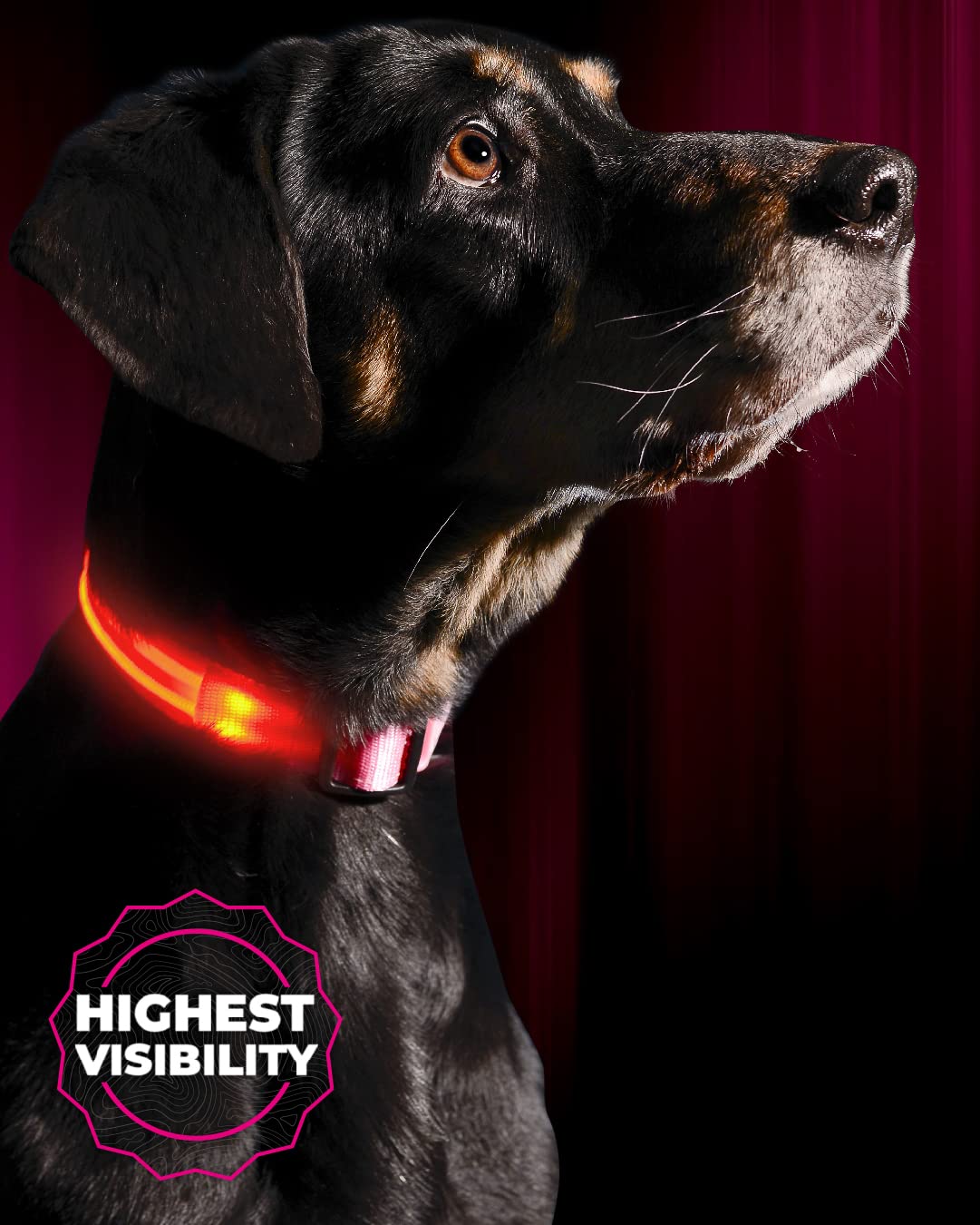 LED Dog collar, USB Rechargeable, X-X-Small (8.6 - 11.4  22 - 29cm), cotton candy Pink