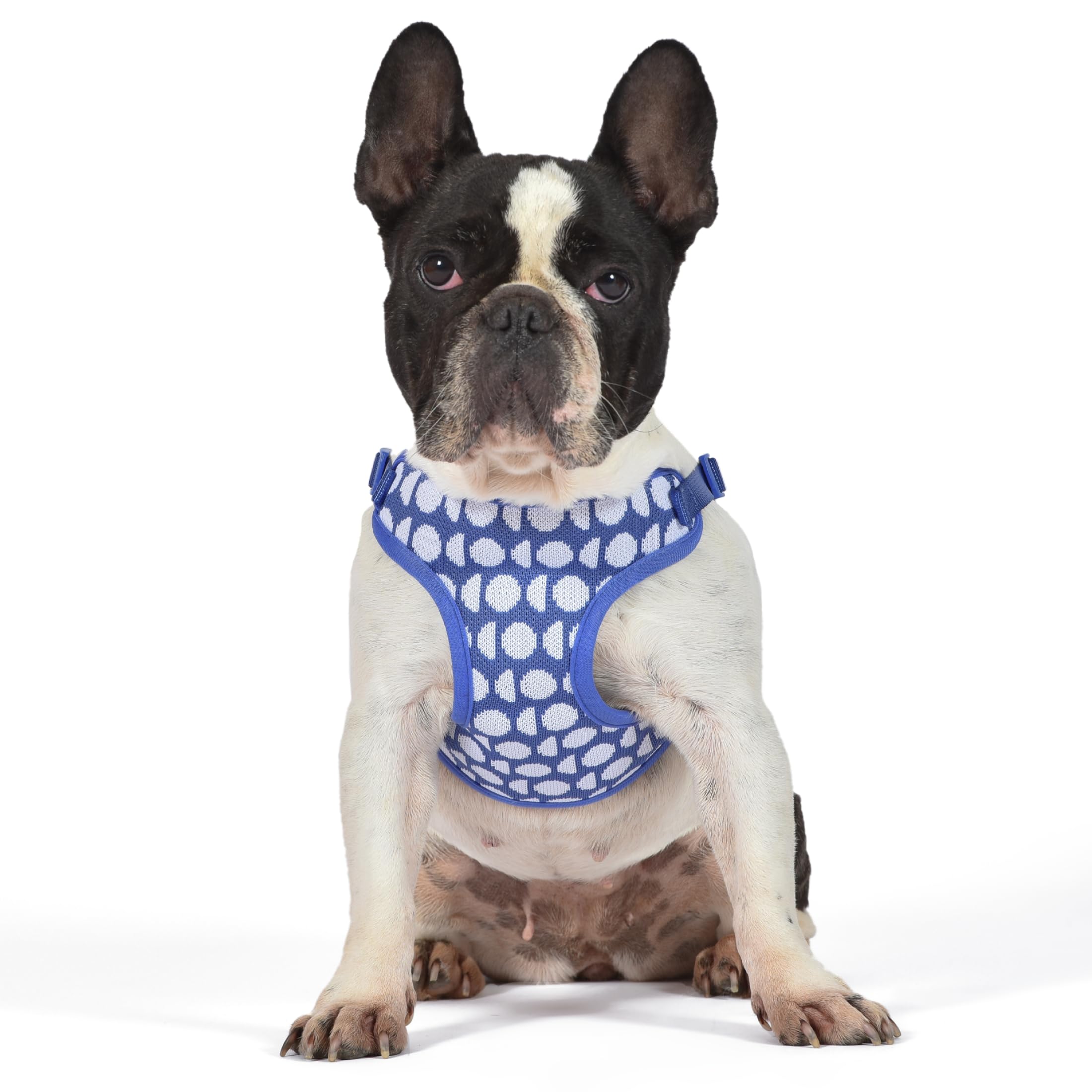 The Dodo Dog Harness, Blue Dodo Print, Size Medium; Easy Step-in Harness for Dogs; Breathable Mesh Fabric; Snap-Together, Pinch 