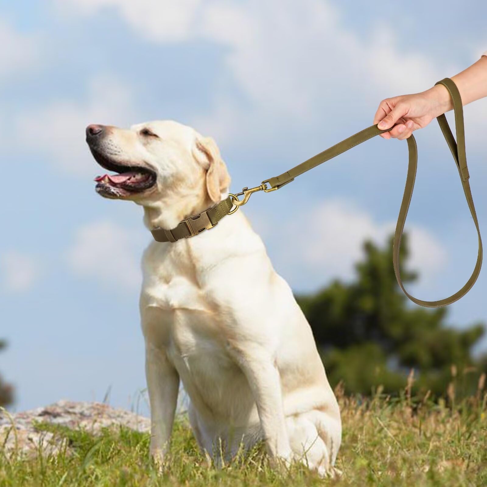 Didog Leather Dog Leash, Colorful Heavy Duty Dog Leash 4Ft, Strong And Durable Faux Leather Lead, Walking And Training Lead For
