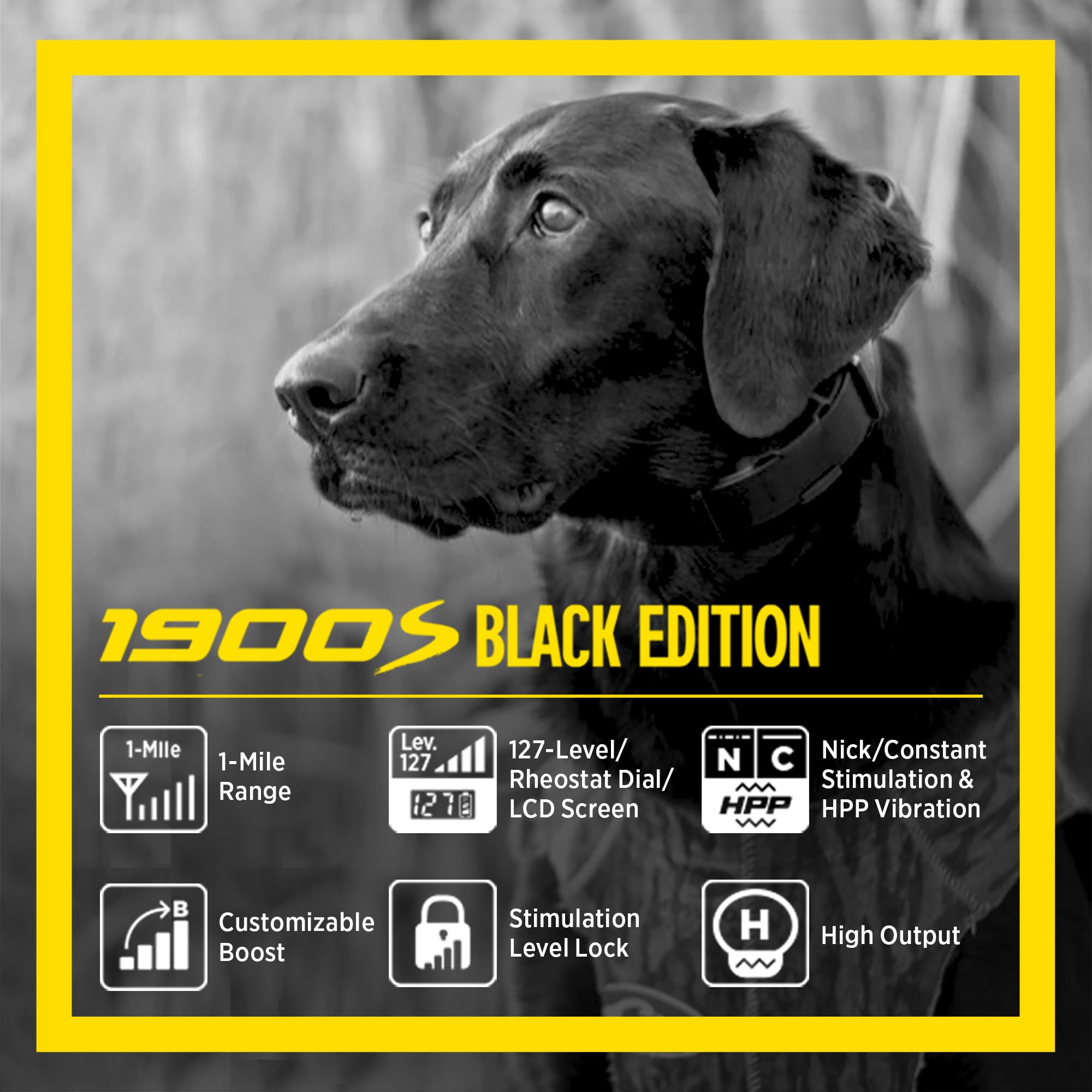 Dogtra 1900S Black Edition With Boost & Lock - Bark Collar For Large Dog, 1-Mile Range Dog Training Collar With Remote, Ipx9K-Ra