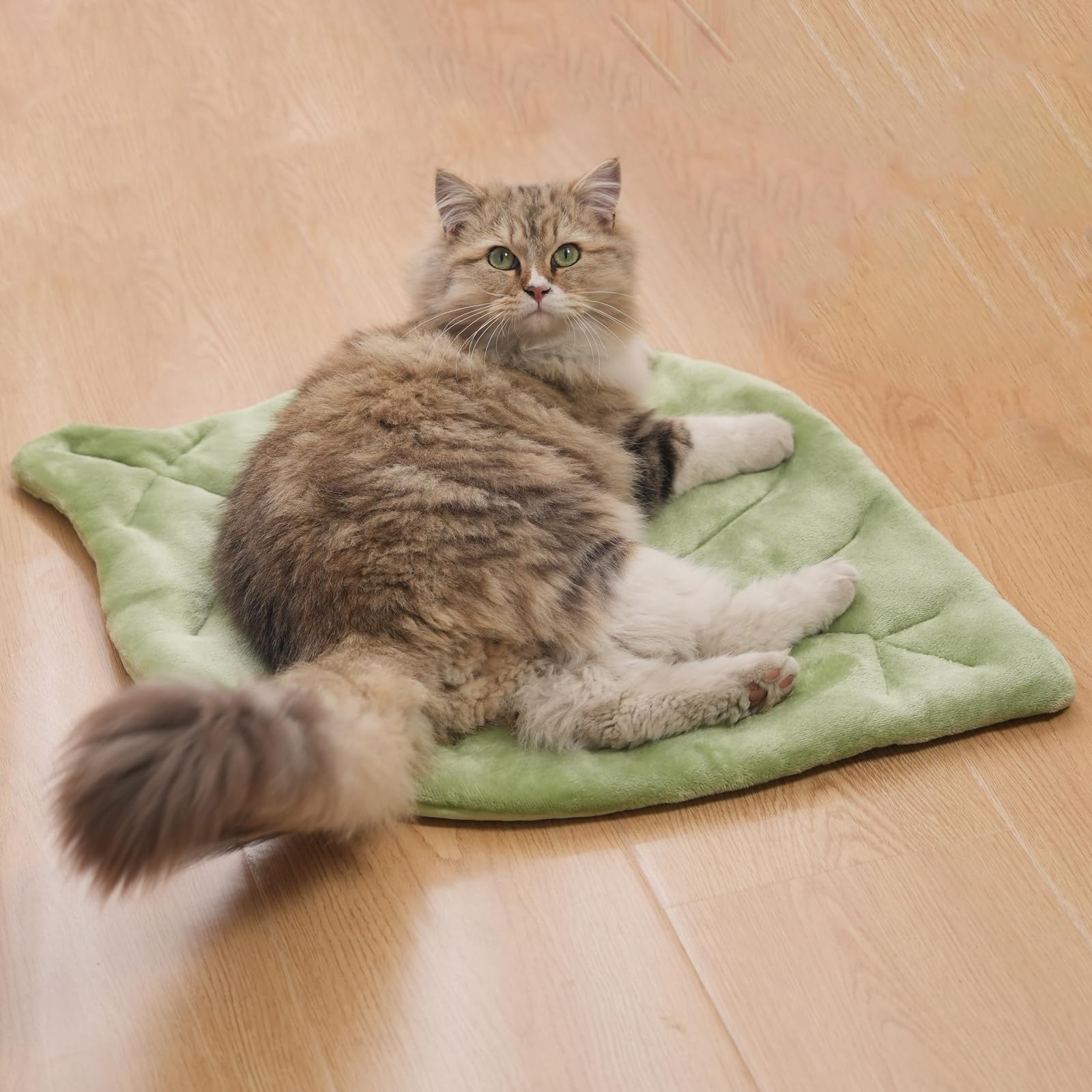 Nimorio Self Warming Cat Leaf Mat,Comfortable Soft Fabric Breathable Cozy Cat Warm Bed Mat with Foil Insulation,Cat Bed Mat for 