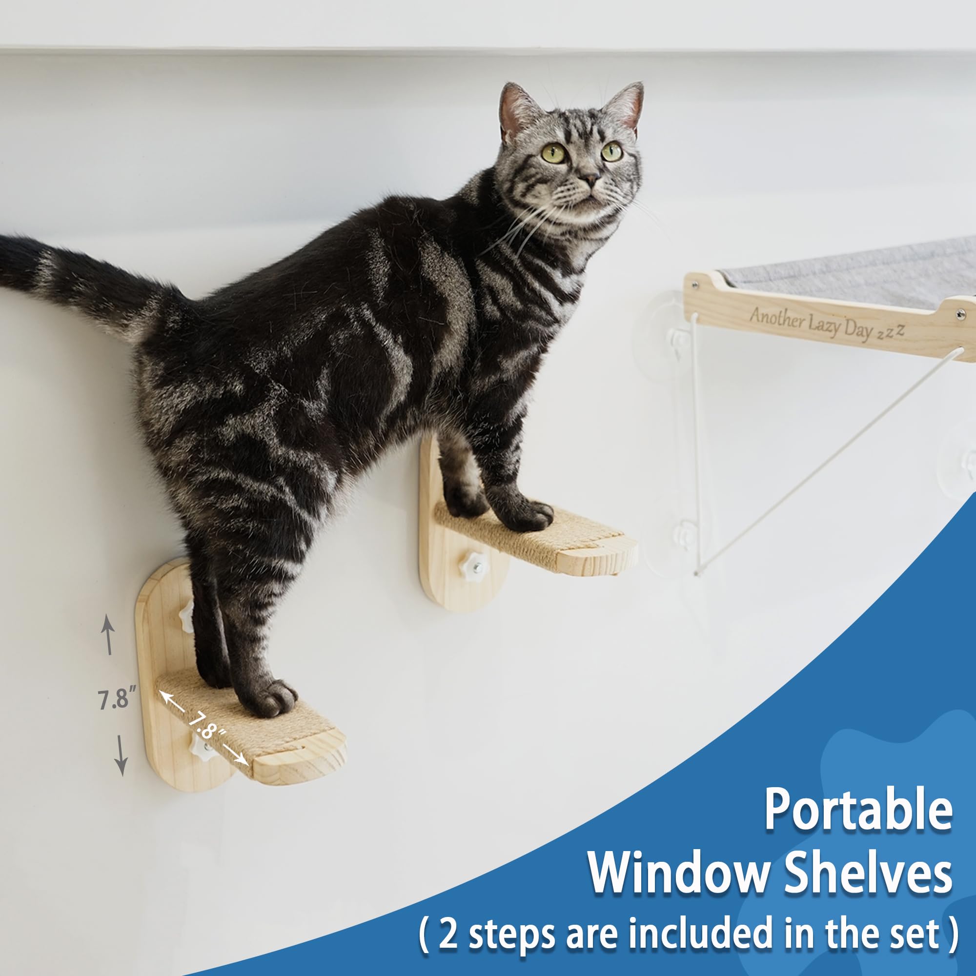 Petkaray Cat Window Perch, Foldable Cat Hammock For Window, Stable Window Shelves For Indoor Cats, Set Includes 2 Pack Of Window Stairs