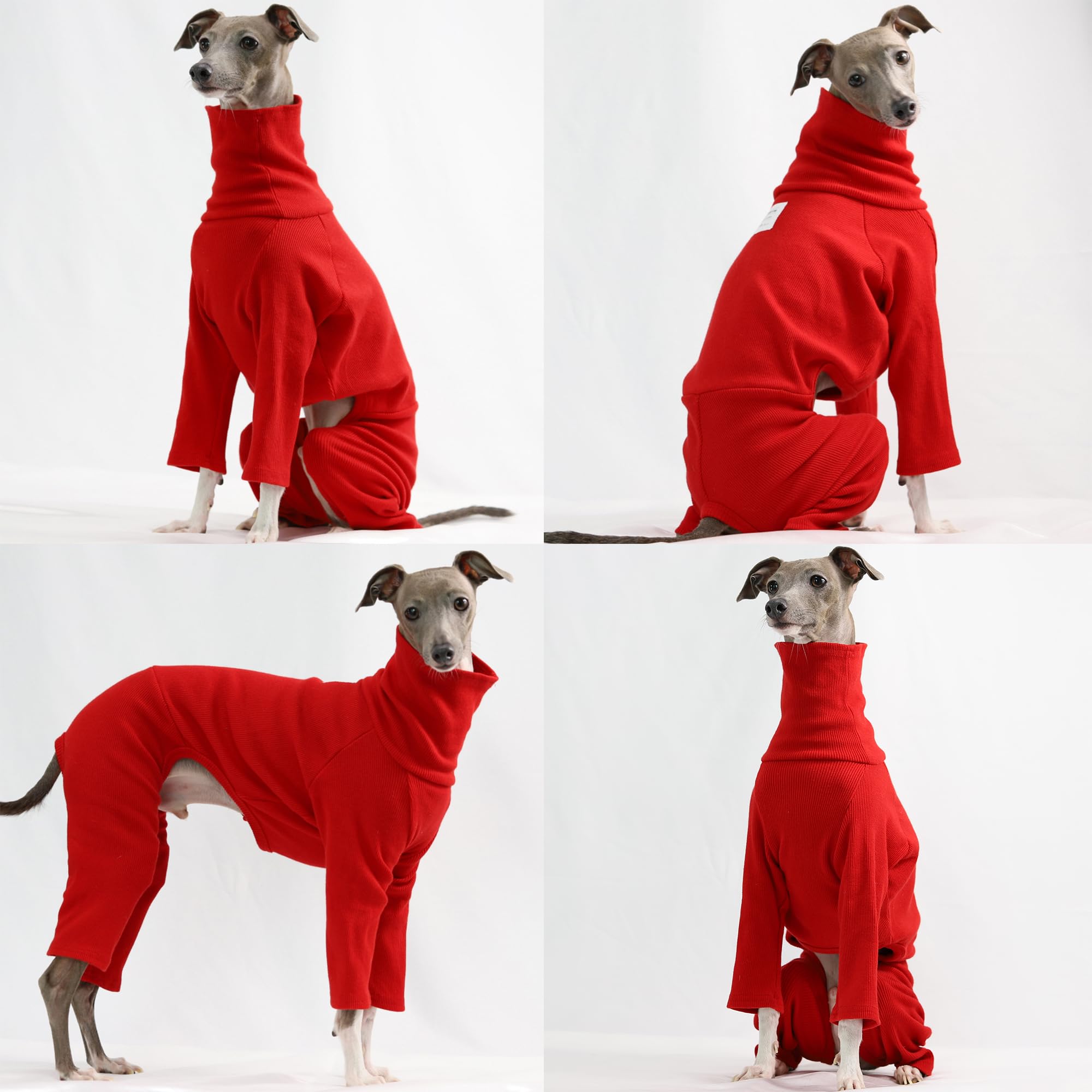 D Doggy Star Italian Greyhound Clothes Stretchable Onesie Whippet For Dog (M,Ribbed Red)