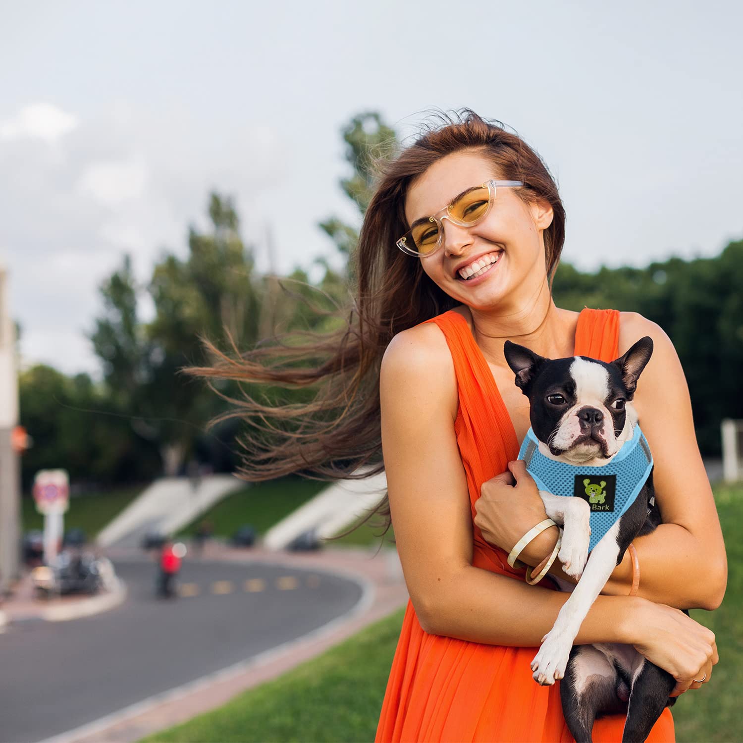 Ecobark Step In Dog Harness - Eco-Friendly Dog Harnesses For For Small & Medium Breed Dogs - Reflective And Adjustable Chest Body Halter Vest -Soft Luxurious Mesh (Baby Blue, Xl)