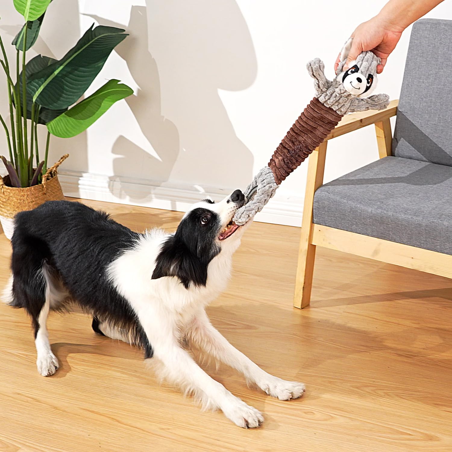 Sedioso Tug Of War Dog Toy, Durable Large Breed Dog Toy, Though Stuffed Dog Squeaky Toy With Crinkle Paper For Small, Middle And