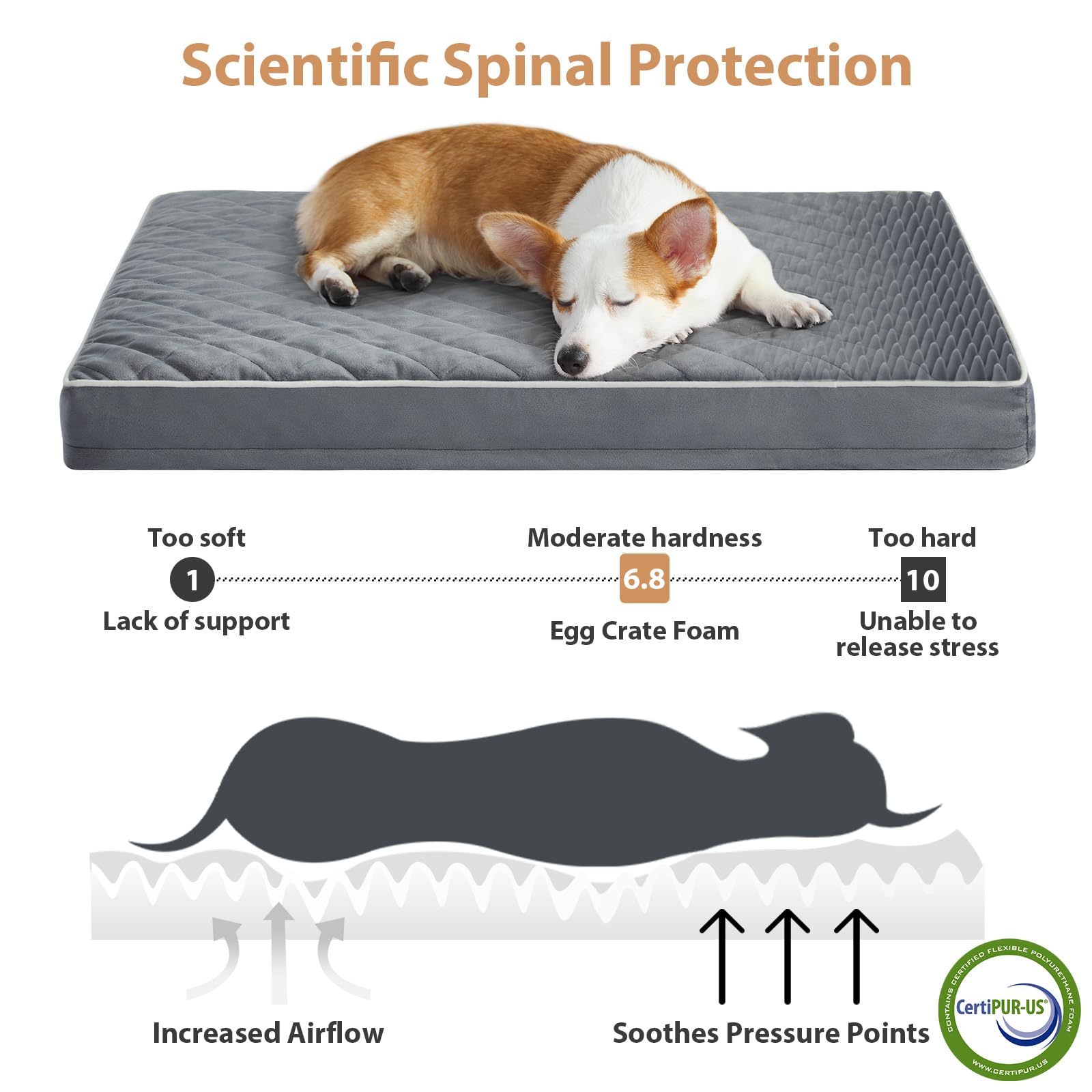 Wnpethome Orthopedic Dog Beds For Medium Dogs, Smalldog Bed With Removable Washable Cover & Anti-Slip Bottom, Multi-Needle Quilt