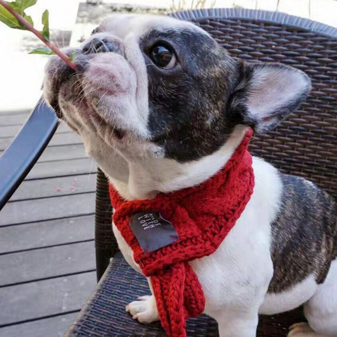 Goclothod Pet Dog Knitted Scarf Cute Collars Doggie Neckerchief 2 Set Muffle For Christmas (Red,Green)