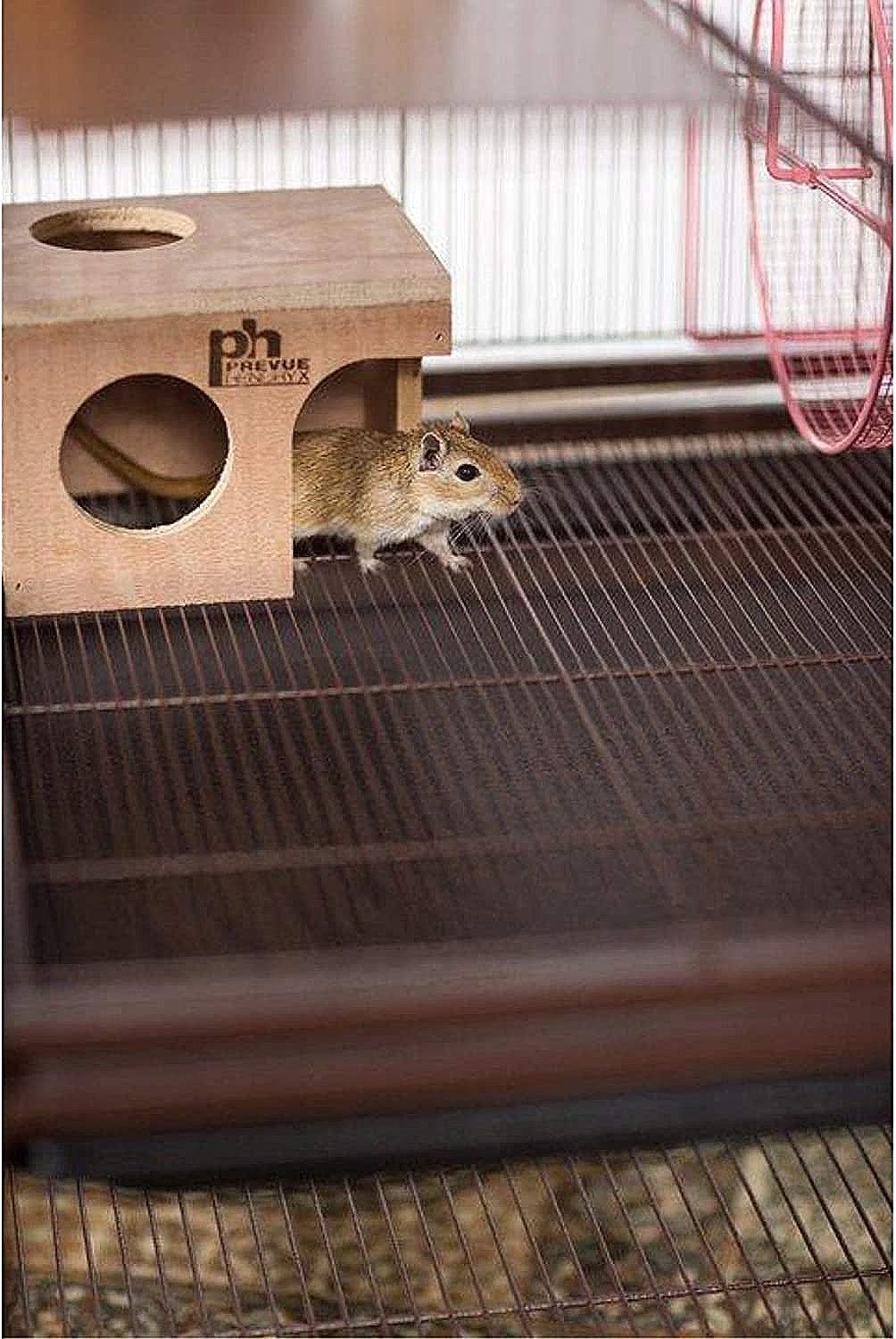 Prevue Pet Products Wood Hamster & Gerbil Hut 1121