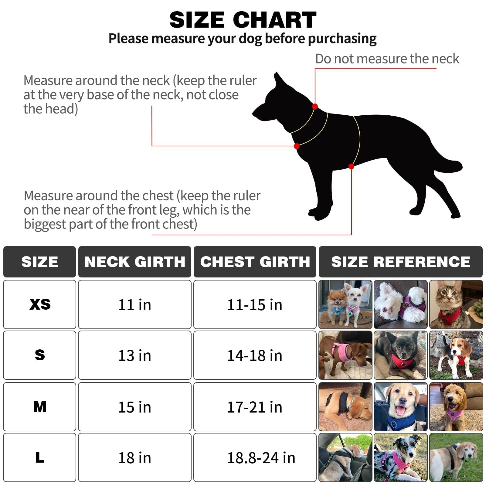 Bingpet Small Dog Harness - Breathable Mesh Puppy Cat Harnesses - No Pull Adjustable Dog Harness Dog Vest Harness For Small And Medium Dogs