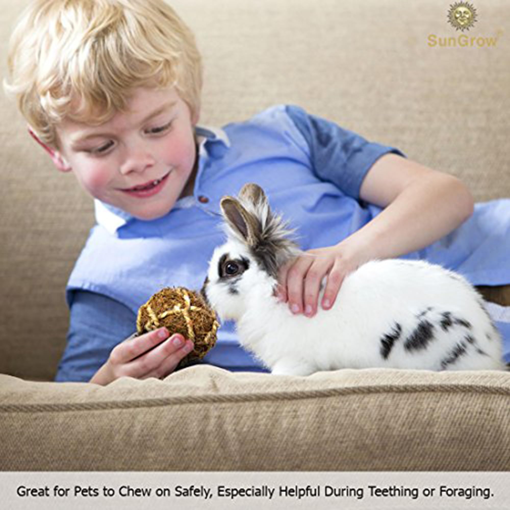 SunGrow Assorted Rabbit & Cat Chew Balls, Teething Activity Toy for Pocket Pets, Improves Dental Health, Environment Friendly, S