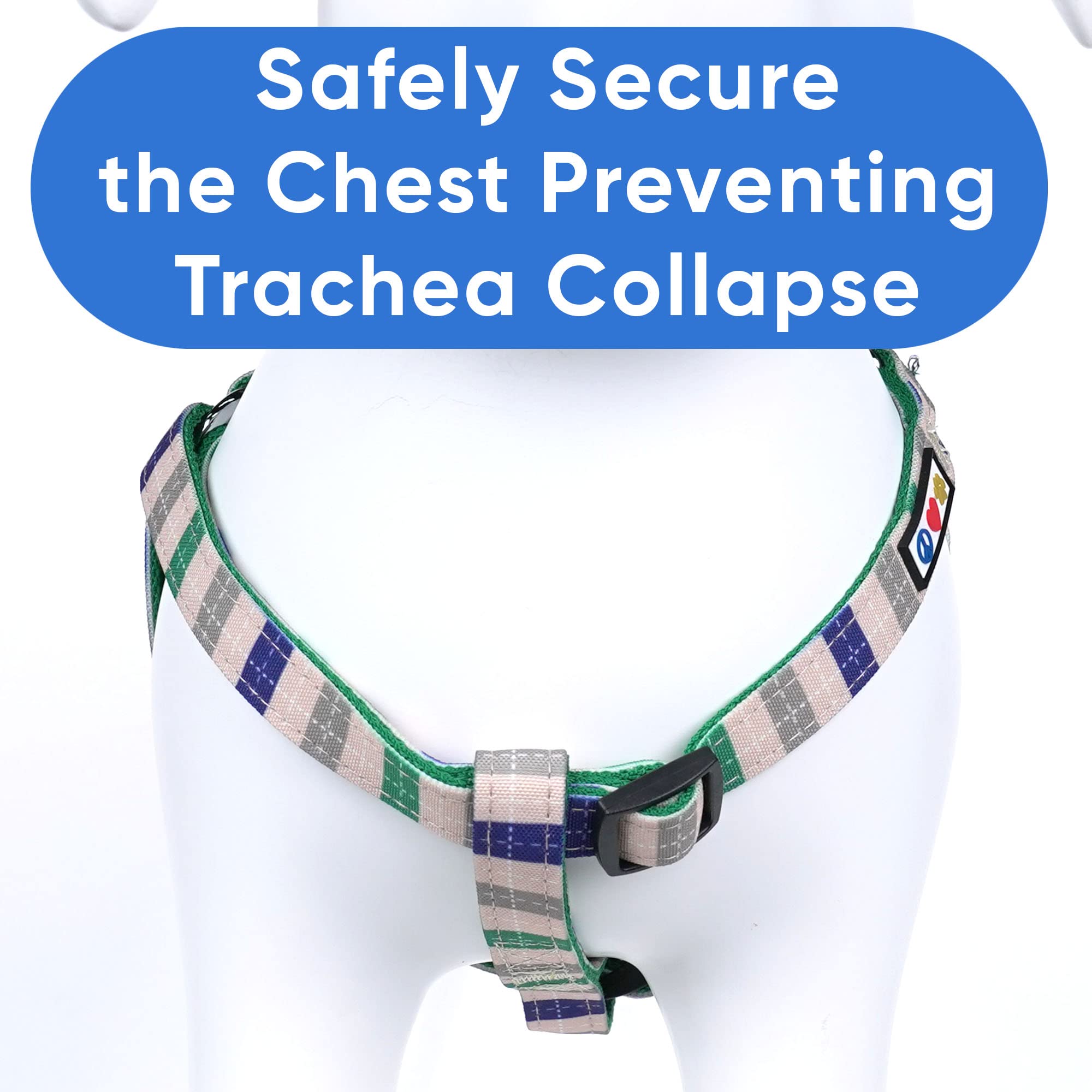 Pawtitas Pet Adjustable Solid Color Step In Puppy/Dog Harness 6 Feet Matching Collar And Harness Sold Separately Small Grey/Blue/Green Multicolor