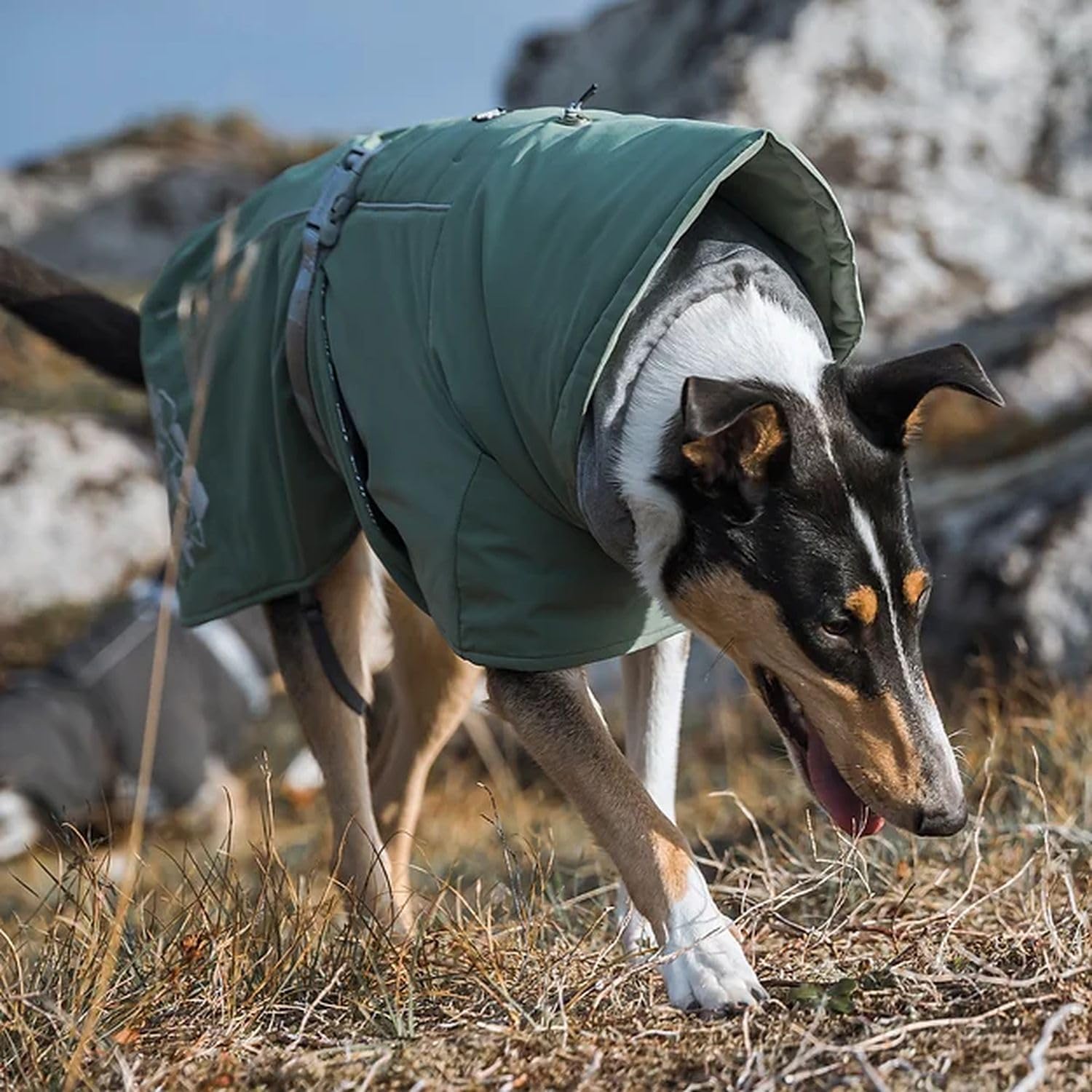 Hurtta Extreme Warmer 2, Winter Dog Coat Eco, Hedge, 16 In