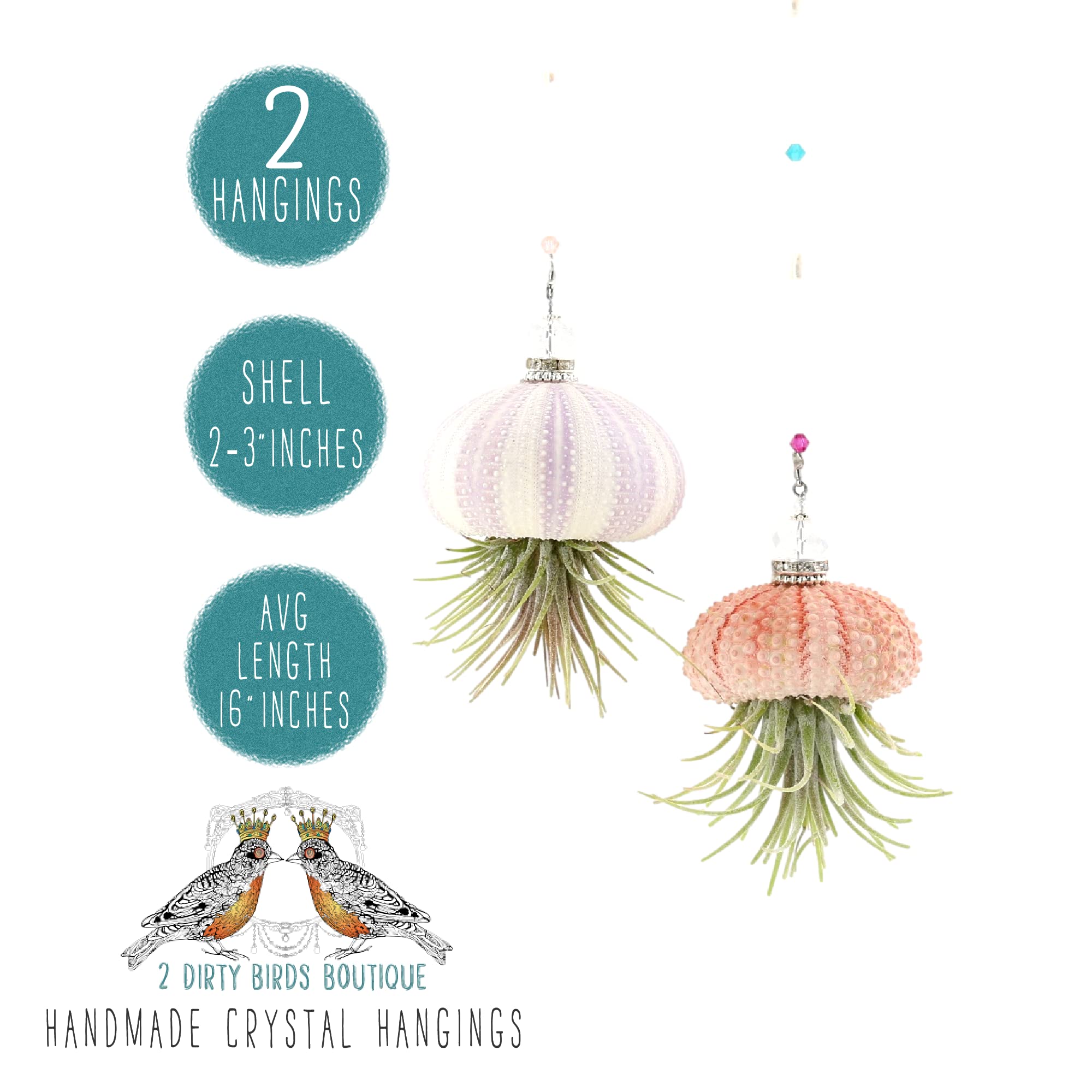 2 Dirty Birds Handmade Hanging Sea Urchin Shell, Jellyfish Live Air Plants, W/Swarovski And Freshwater Pearls, Family, Friend, G
