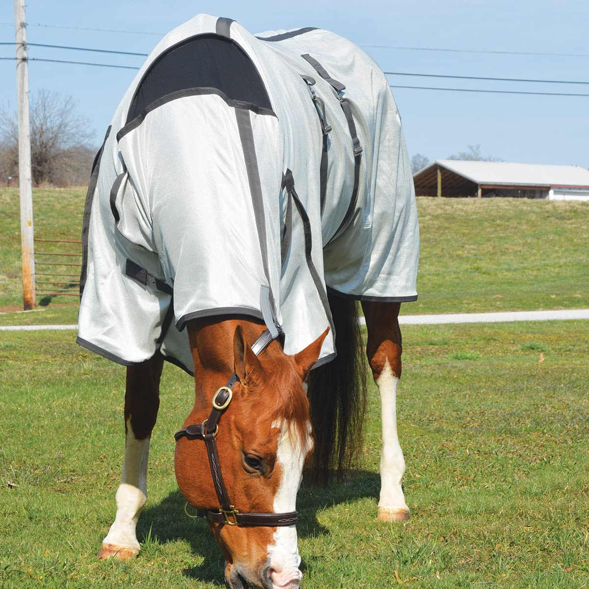 Country Pride Fly Sheet Mesh with Belly Band and Neck Cover (78 in)