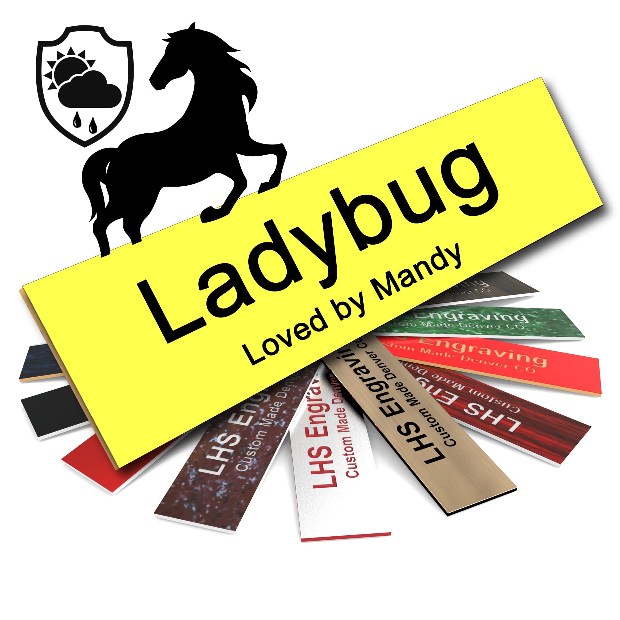 Lhs | Horse Stall Name Plate, 2X6 Personalized Stall Signs, Uv Protected, All Weather Adhesive, Hanging, Mounting Or Other, Yell