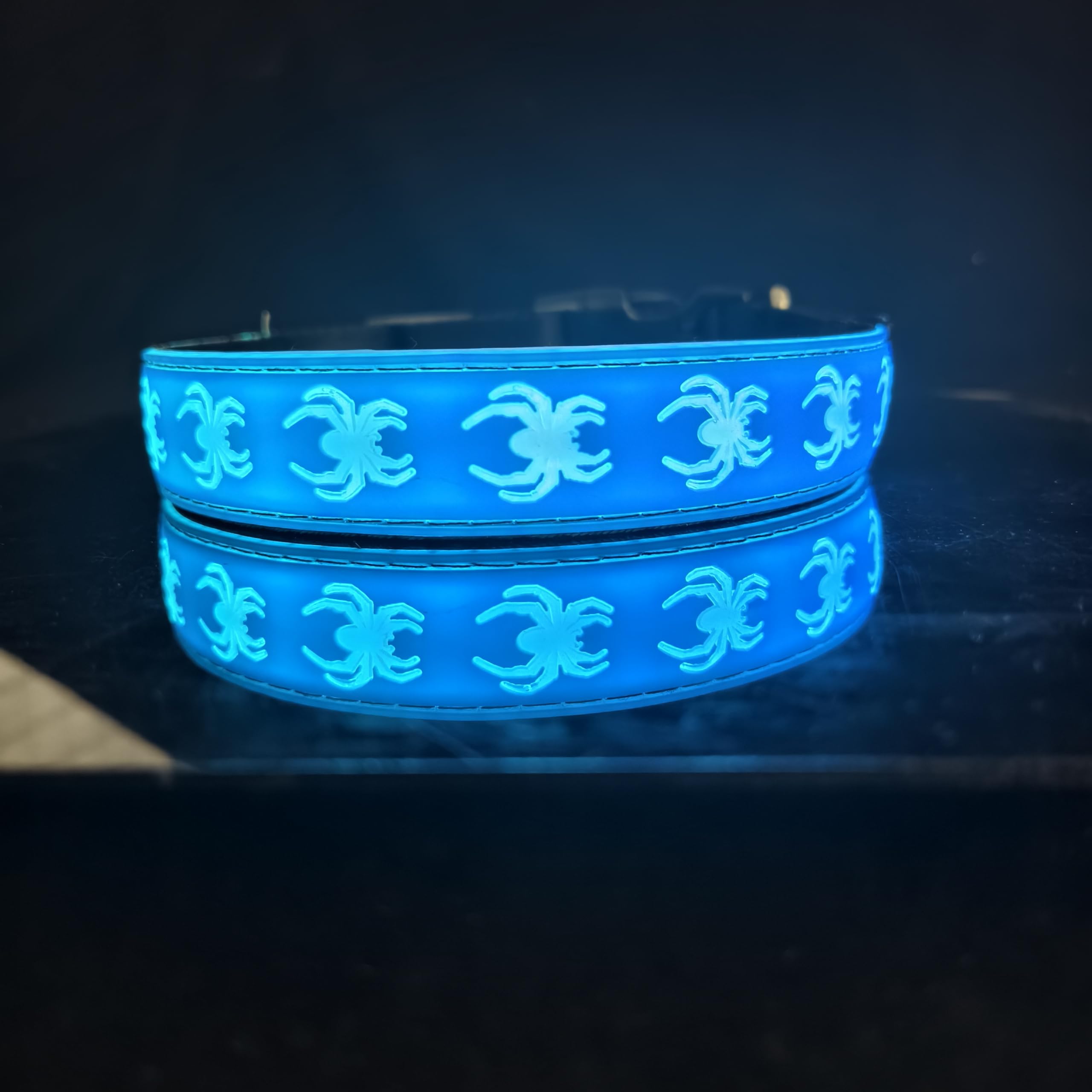 Dogled Usb-C Led Light Up Dog Collar, 3D Design Comfortable And Soft Material,Multicolored Lighting,Night Dog Collar (Sp-Blue, M