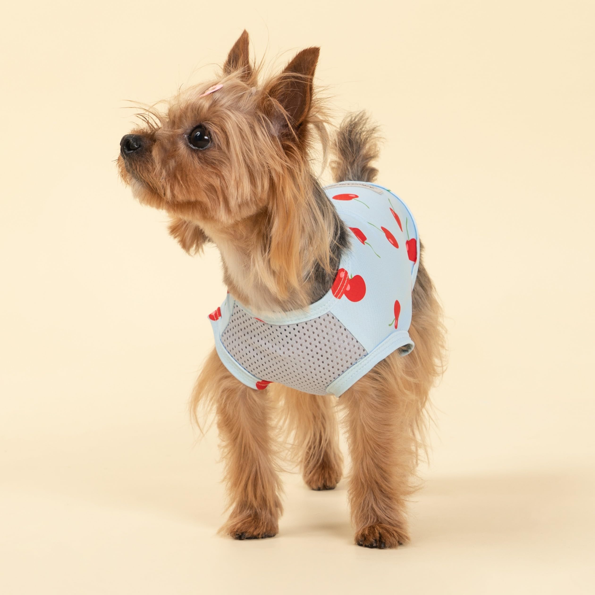 Fitwarm 2 Pack Ice Cream & Cherry Upf 50+ Uv Sun Protection Dog Shirt, Lightweight Cooling Vest, Quick Dry Summer Clothes For Sm