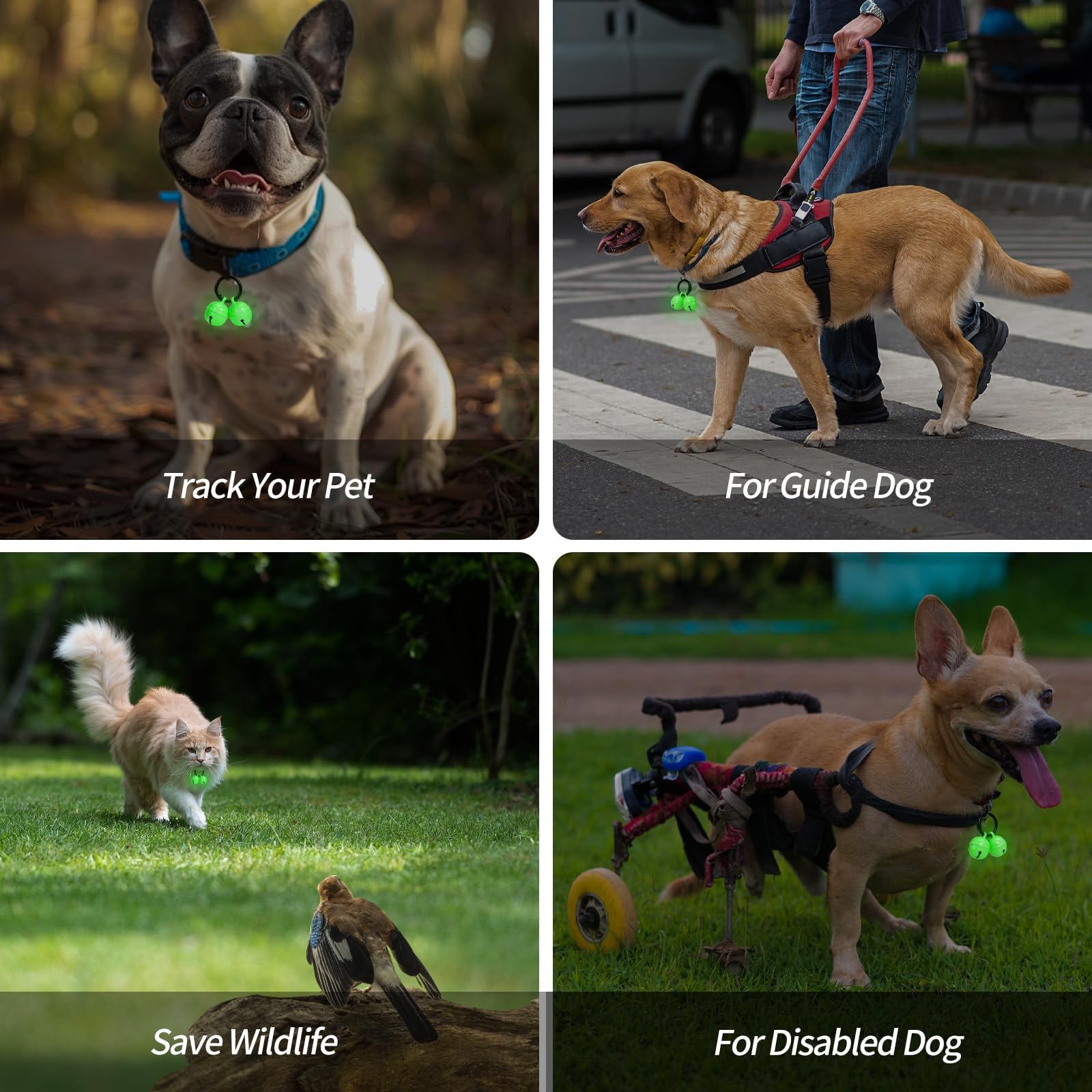 Bells For Dog Collar, Extra Loud Dog Cat Glow Bell For Pet Tracking & Saving Wildlife, Birds, Durable Copper Bells (Glow, Small-