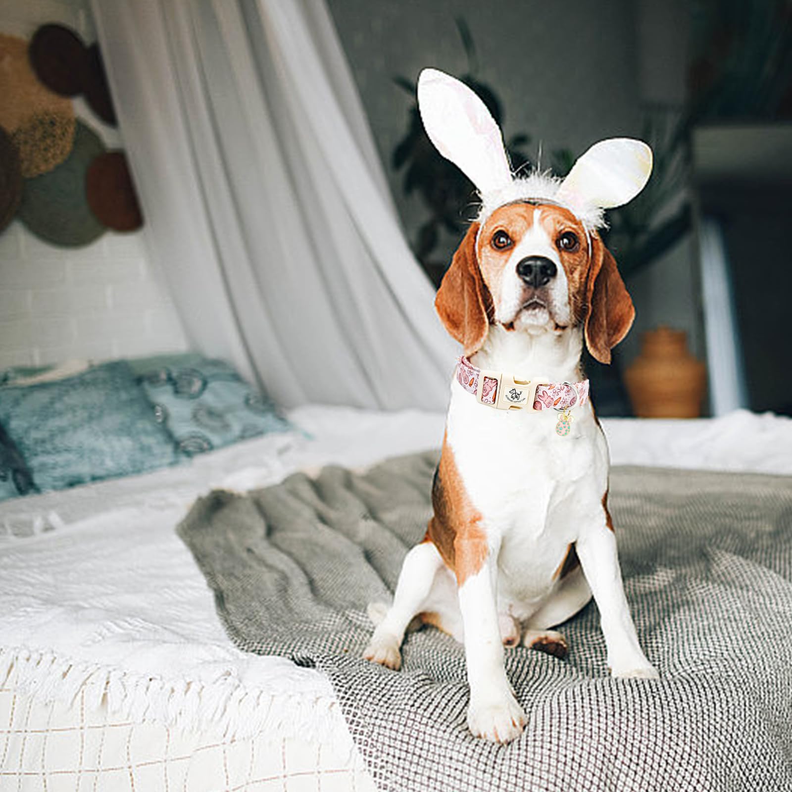 Elegant Little Tail Easter Dog Collar,Bunny Pattern Pet Collar Pink Durable Holiday Female Or Male Adjustable Cotton Pet Collar