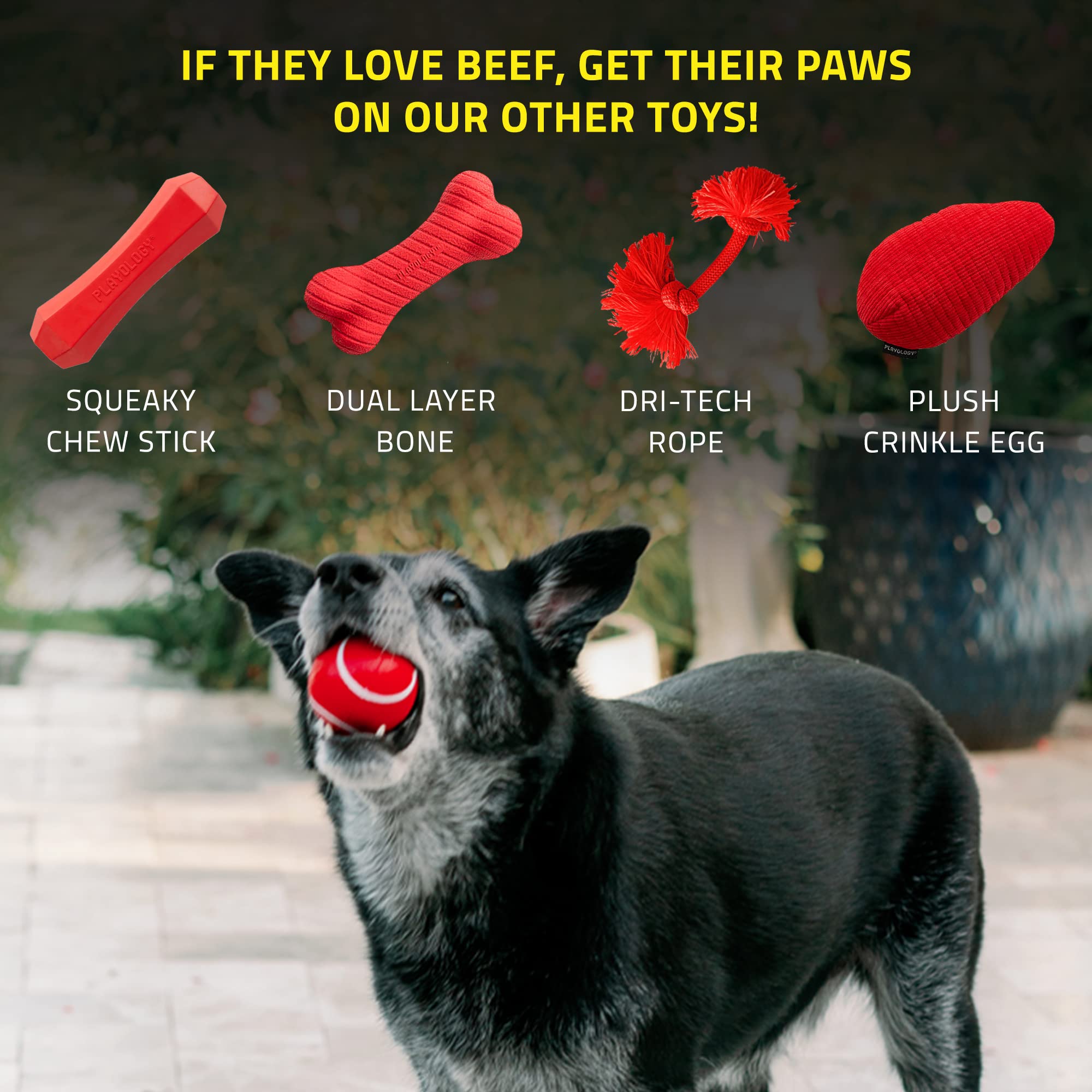Playology Squeaky Chew Ball for Dogs | Engaging All-Natural Beef Scented Dog Toy for Medium Dogs up to 50lbs | Squeak, Fetch, an