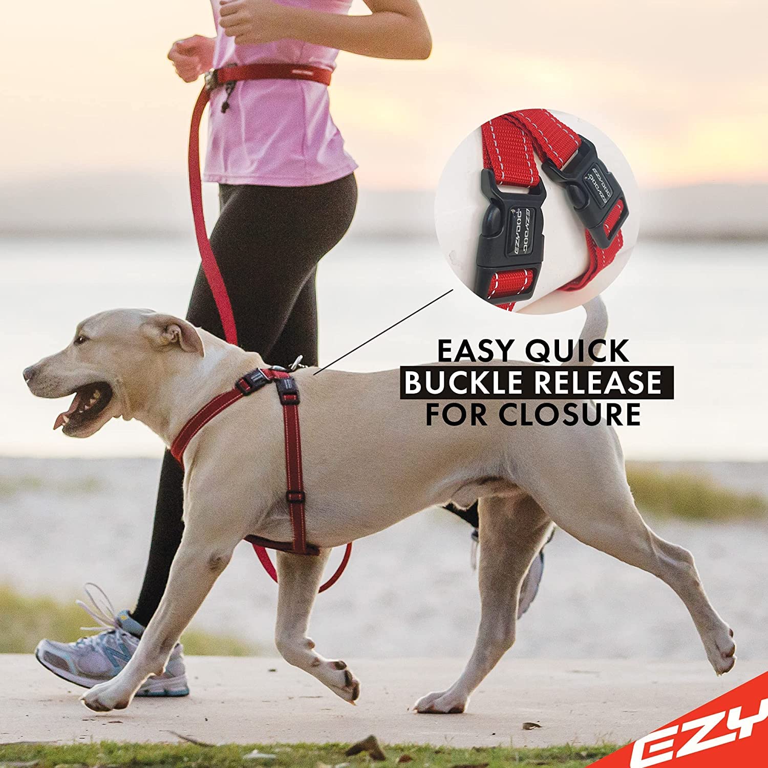 EzyDog Premium Chest Plate Custom Fit Reflective No-Pull Padded Comfort Dog Harness - Perfect for Training, Walking, and Control