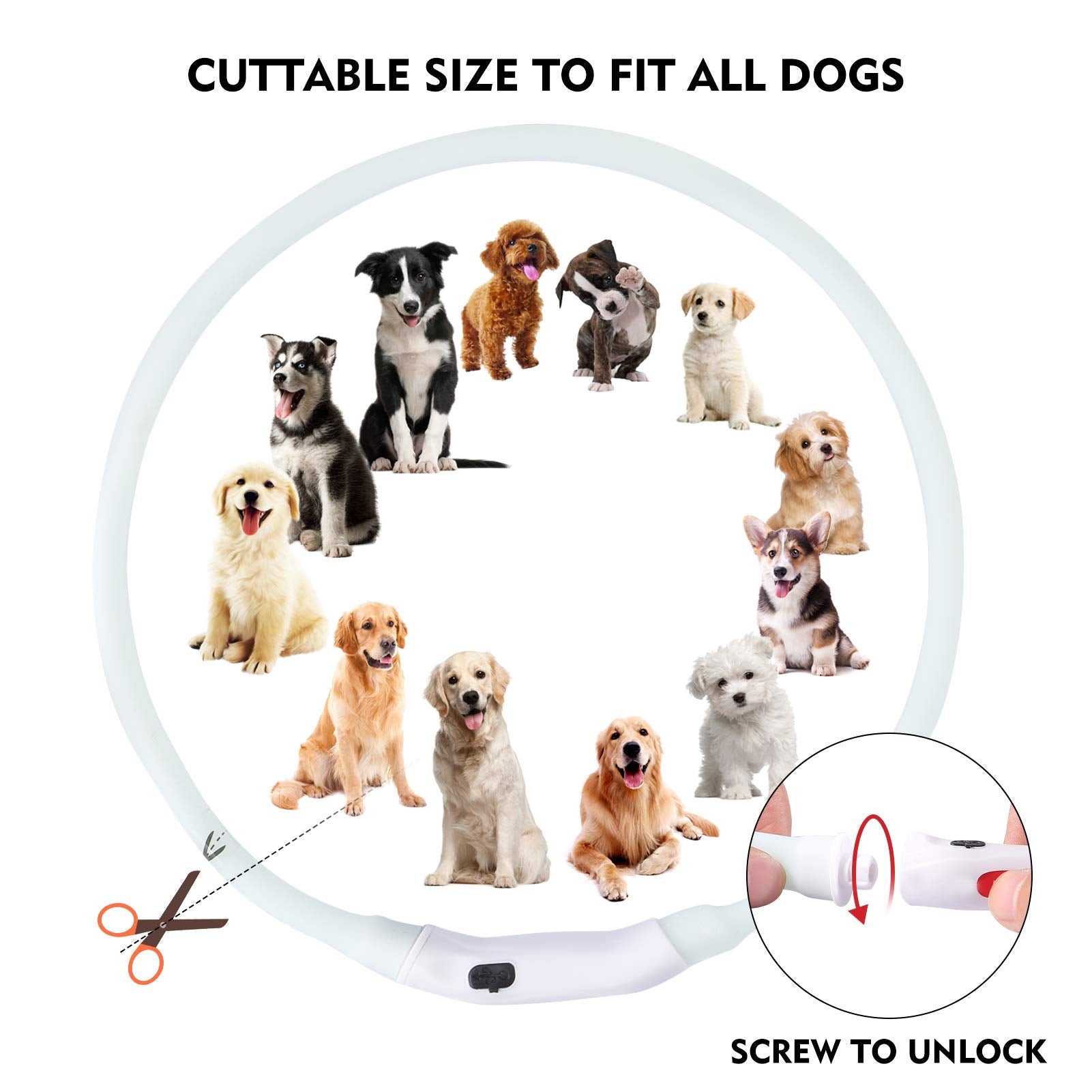 Led Multi-Color Dog Collar , Rechargeable 7 Colors Changing Light Up Dog Collar, Dog Lights Make Pet Visible And Safety For Nigh