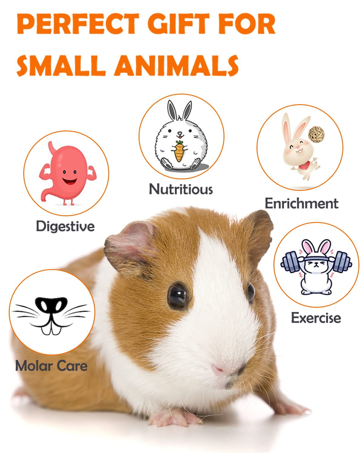 Sofier Hamster, Guinea Pig Toys Accessories Natural Chews for Teeth Rabbit Bunny Rat Chinchilla Hideout Ball Apple Wood Timothy