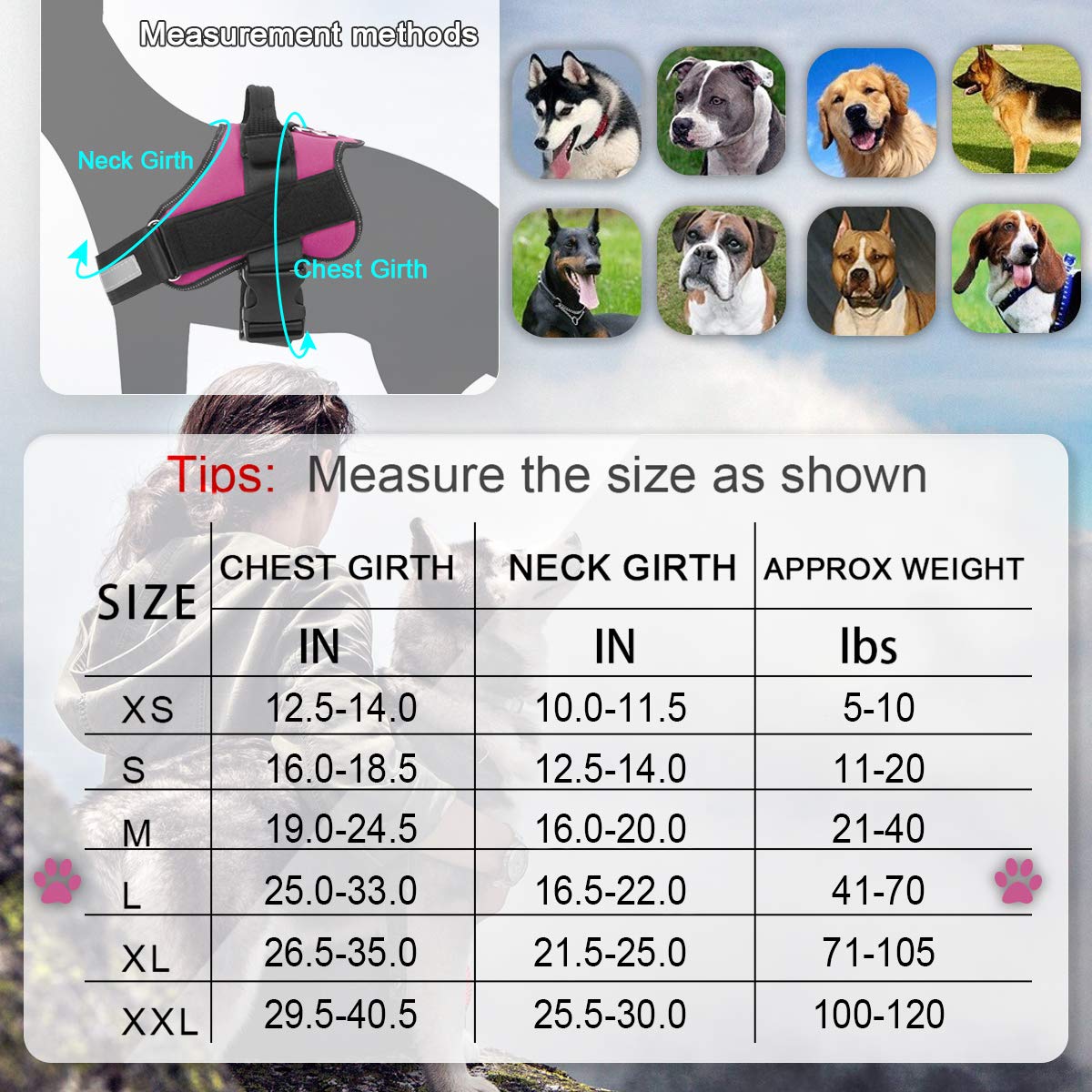 Bolux Dog Harness, No-Pull Reflective Dog Vest, Breathable Adjustable Pet Harness With Handle For Outdoor Walking - No More Pulling, Tugging Or Choking (Rose Red, L)