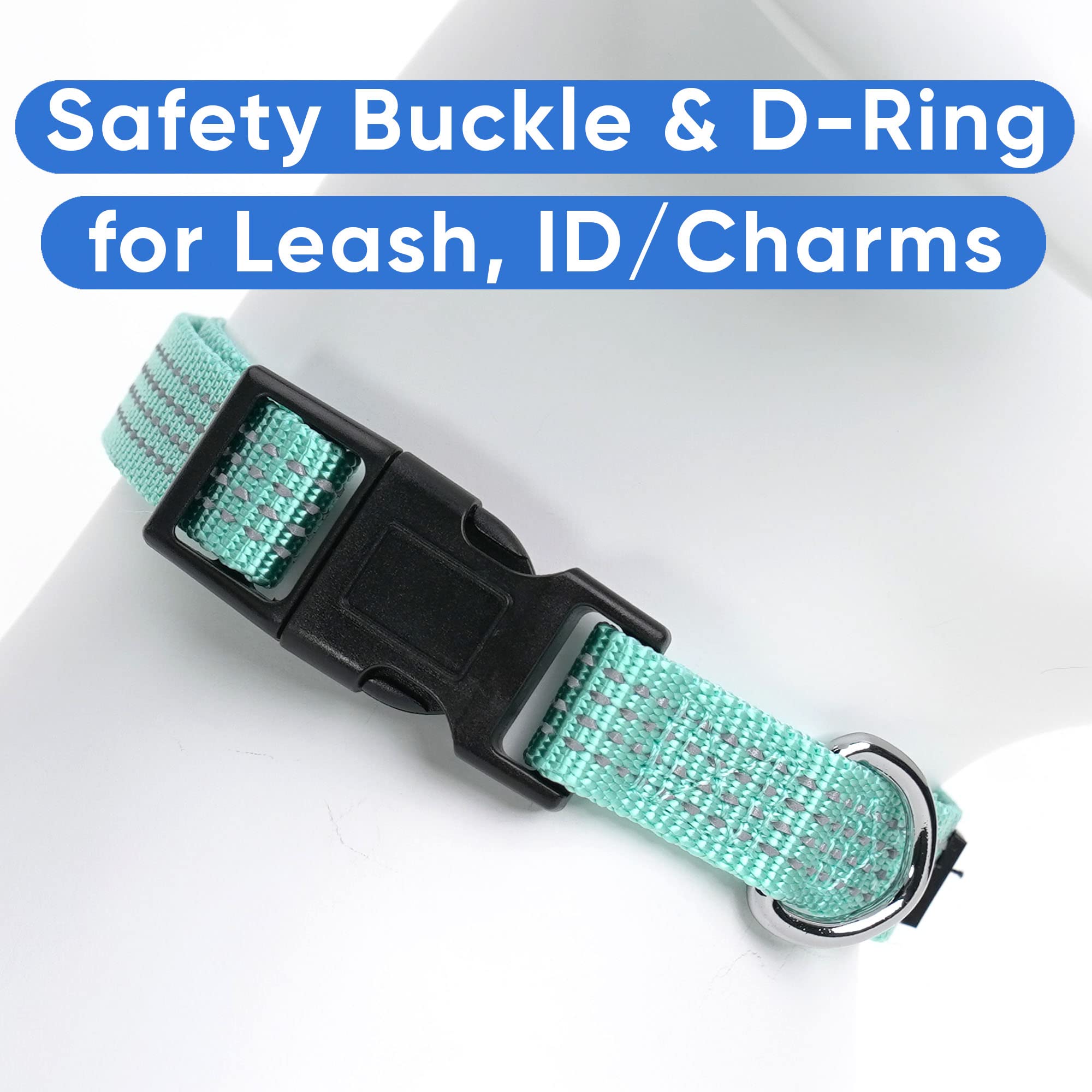 Pawtitas Reflective Dog Collar - Adjustable For Medium Dogs & Puppies - Teal