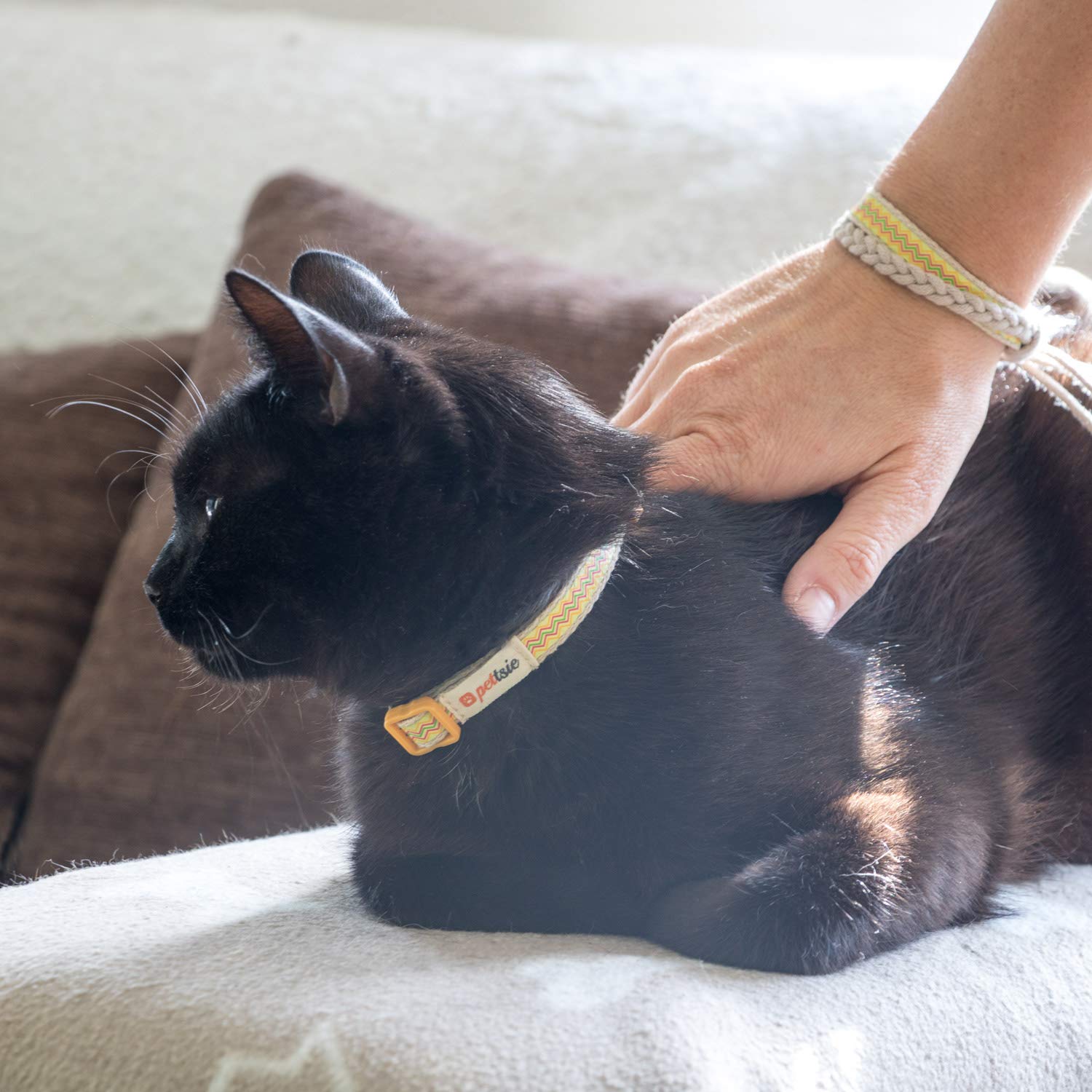 Pettsie Easy Adjustable Kitten Collar Set, Safety Breakaway Buckle, Matching Friendship Bracelet, Soft Cotton For Sensitive Skin, Ideal For Kitty Lovers, Fits Neck Sizes 5-8 Inches, Yellow