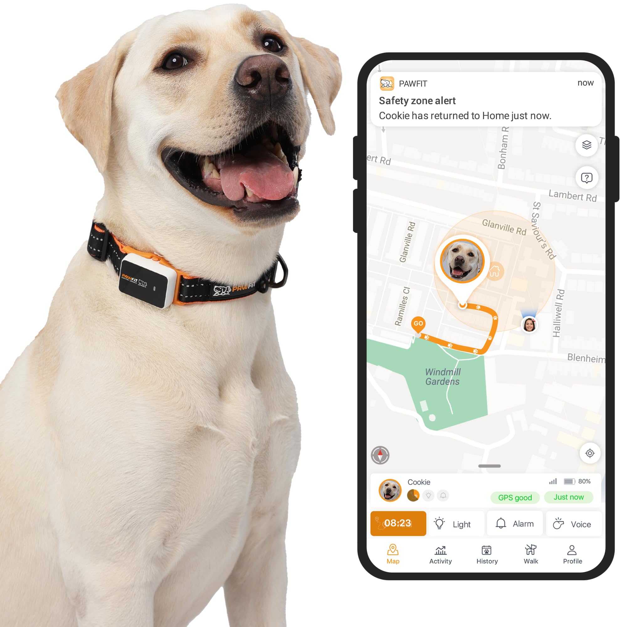 Pawfit 3 GPS Pet Tracker GPS Dog Tracker 4G Live Tracking, Smart Alerts, Fully Waterproof Activity Monitor for Pets, Unlimited R