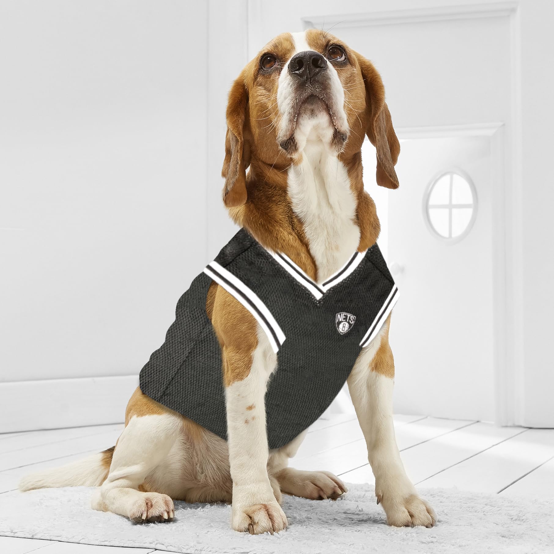 Nba Pet Jersey Brooklyn Nets Basketball Dog Jersey, Large. Best Licensed Basketball Jersey For The Real Four-Legged Fan!