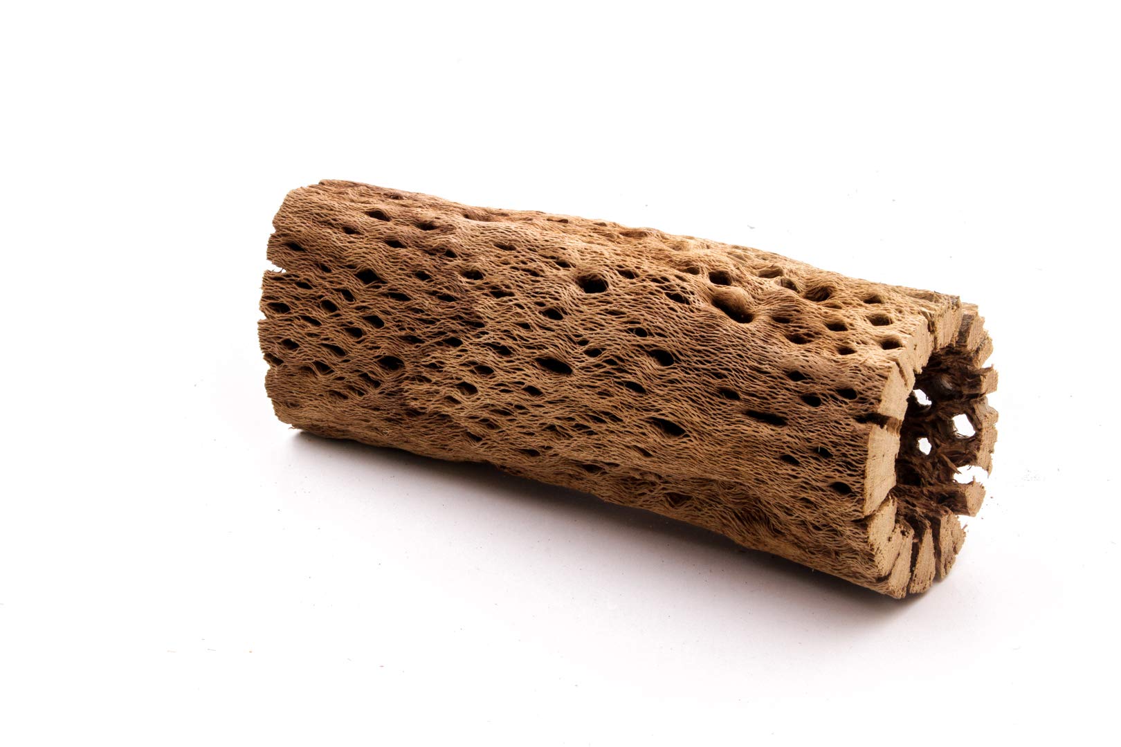 My Pet Patrol 3 to 48 Inch All Natural Teddy Bear Cholla Wood Extra Hollow Large Untreated Organic Aquarium Driftwood Decoration
