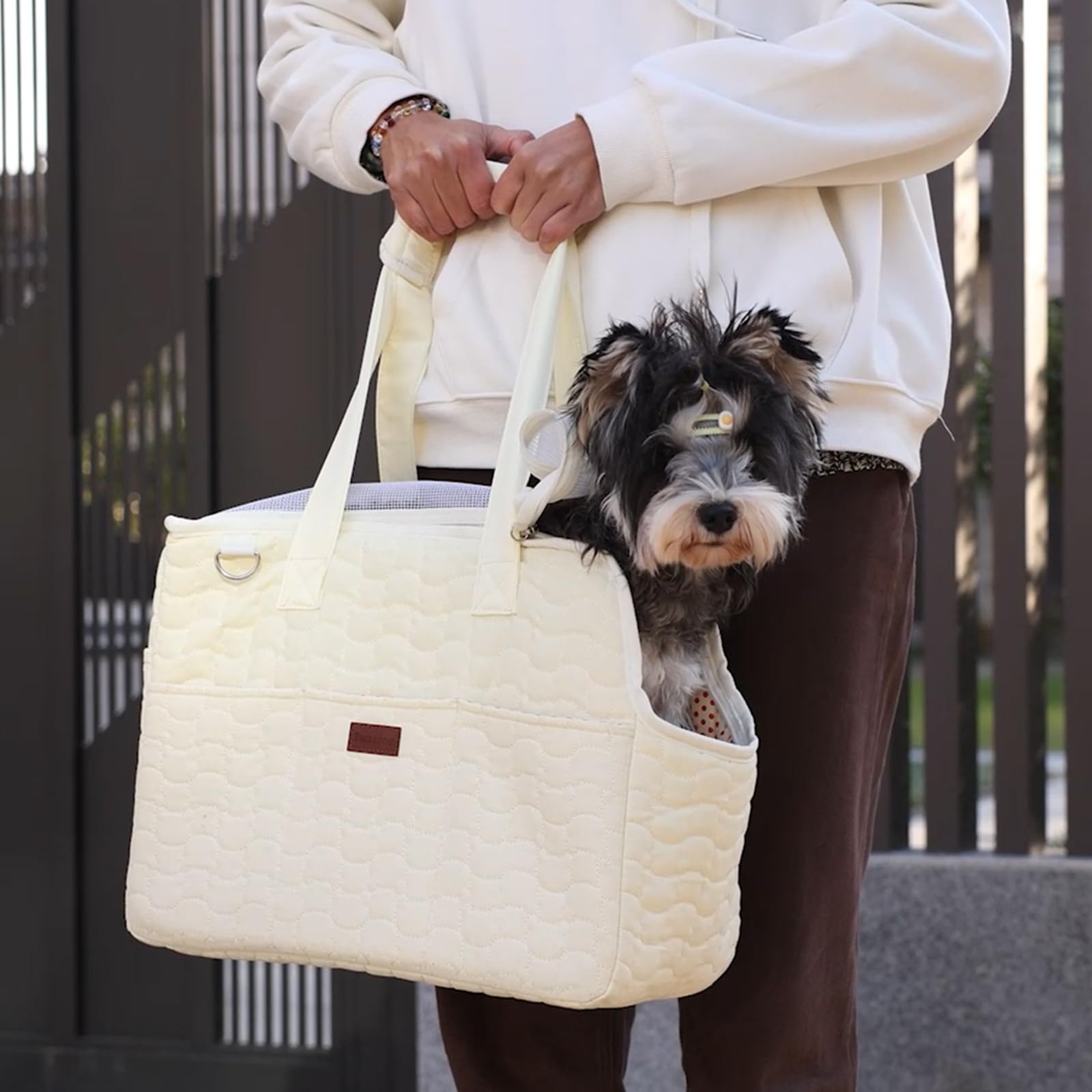 Patazone Small Dog Purse Cat Carrier Bag,Adult Cat/Puppy Carriers Bag Large Cat With Multiple Pockets,Breathable Mesh Soft Cushi