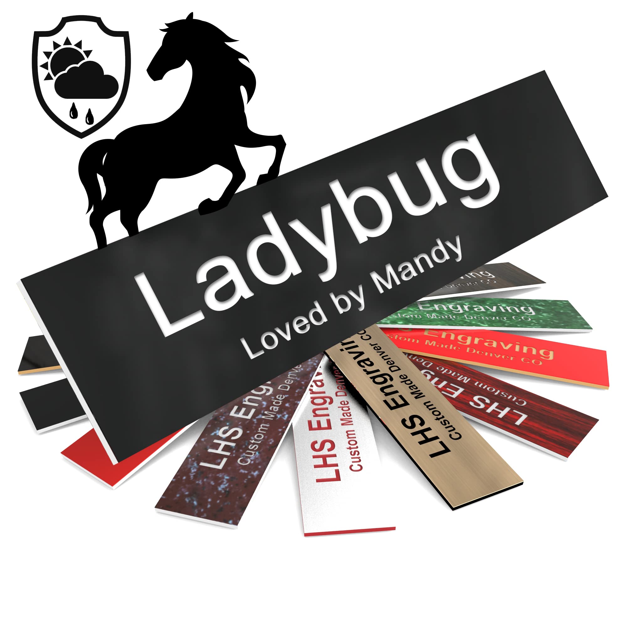 Lhs | Personalized Horse Stall Name Plates, 2X12 Horse Stall Signs With Adhesive, All Weather Uv Protected, Black Plastic White 