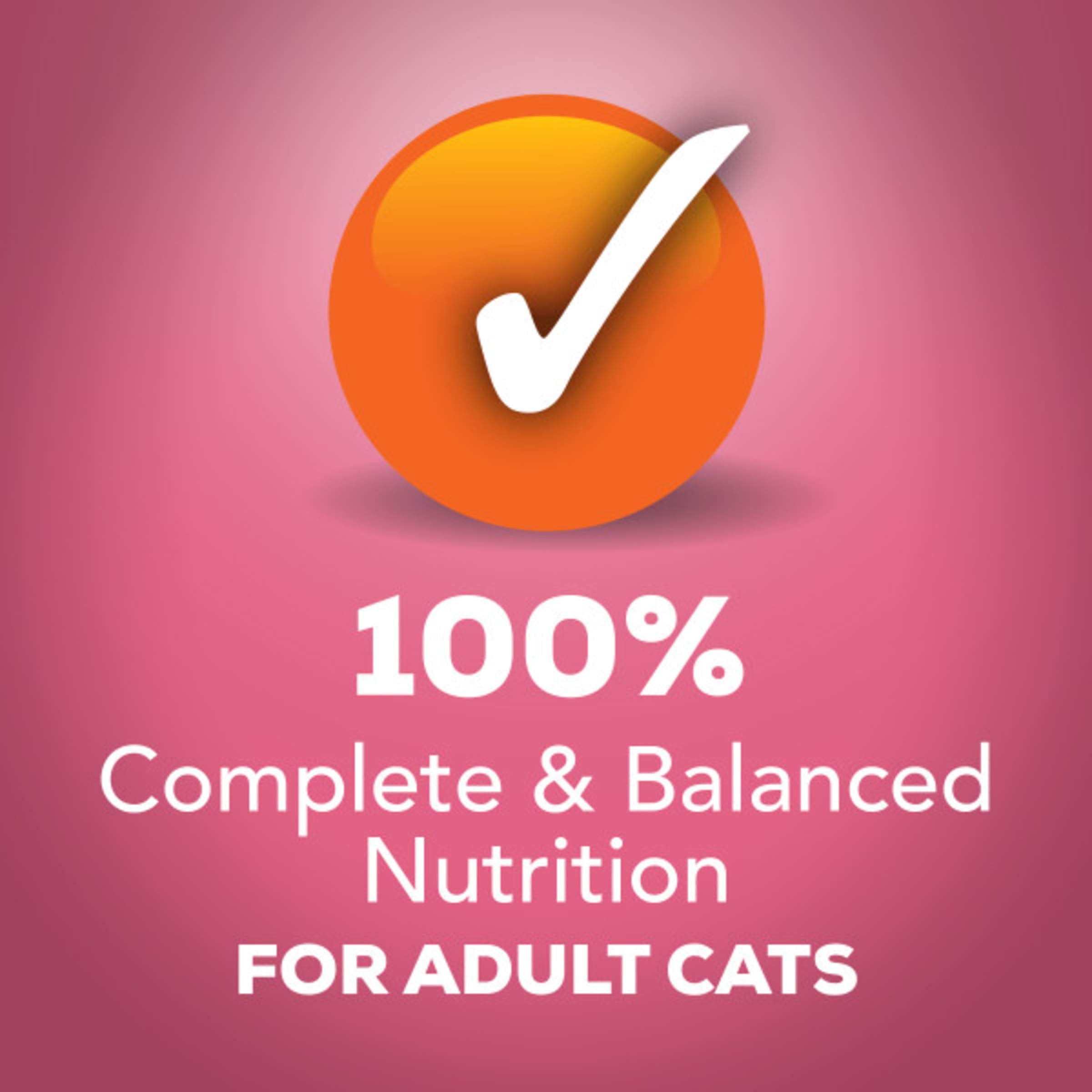 Purina Friskies Gravy Wet Cat Food Variety Pack, Prime Filets Meaty Favorites - (Pack of 24) 5.5 oz. Cans