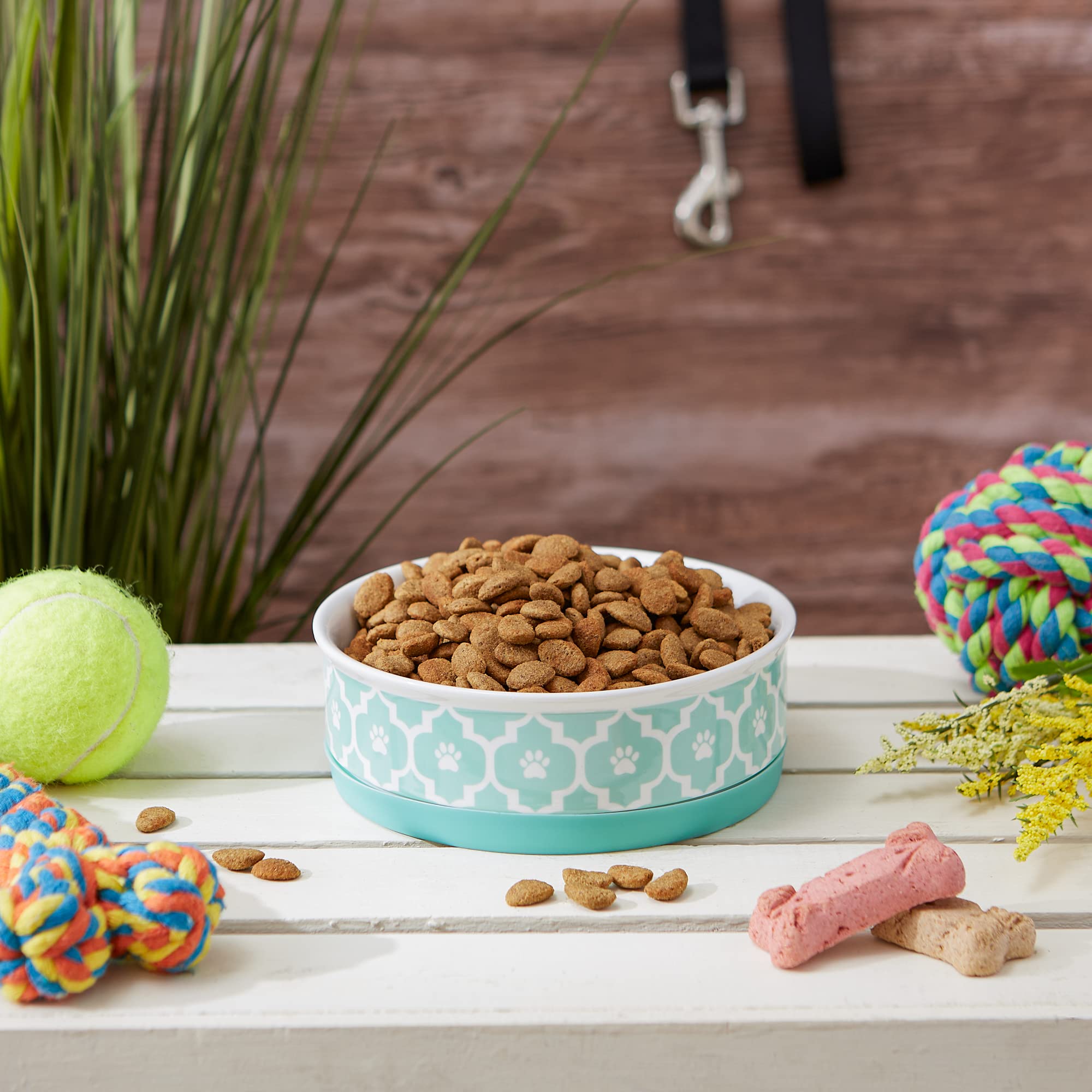 Bone Dry Lattice Collection Pet Bowl & Canister, Single Dish, Medium 6x2, Aqua