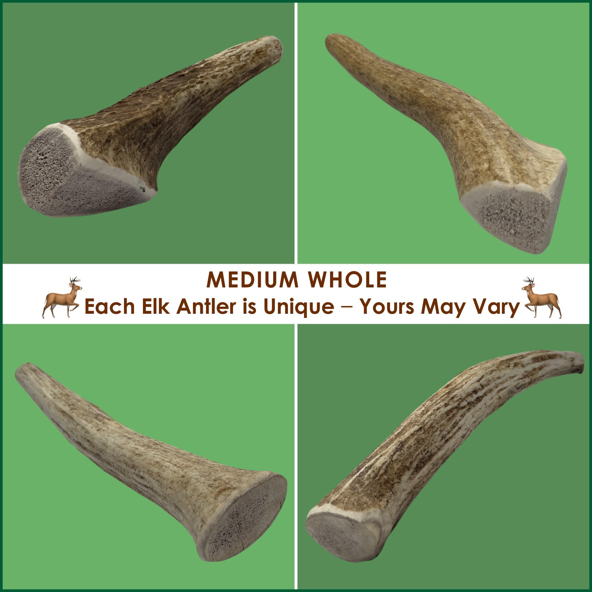 Deluxe Naturals 5-Pack Medium Whole Elk Antler Dog Chews, 5.5-8+ Inches, Long-Lasting Natural Dog Chews for Aggressive Chewers,