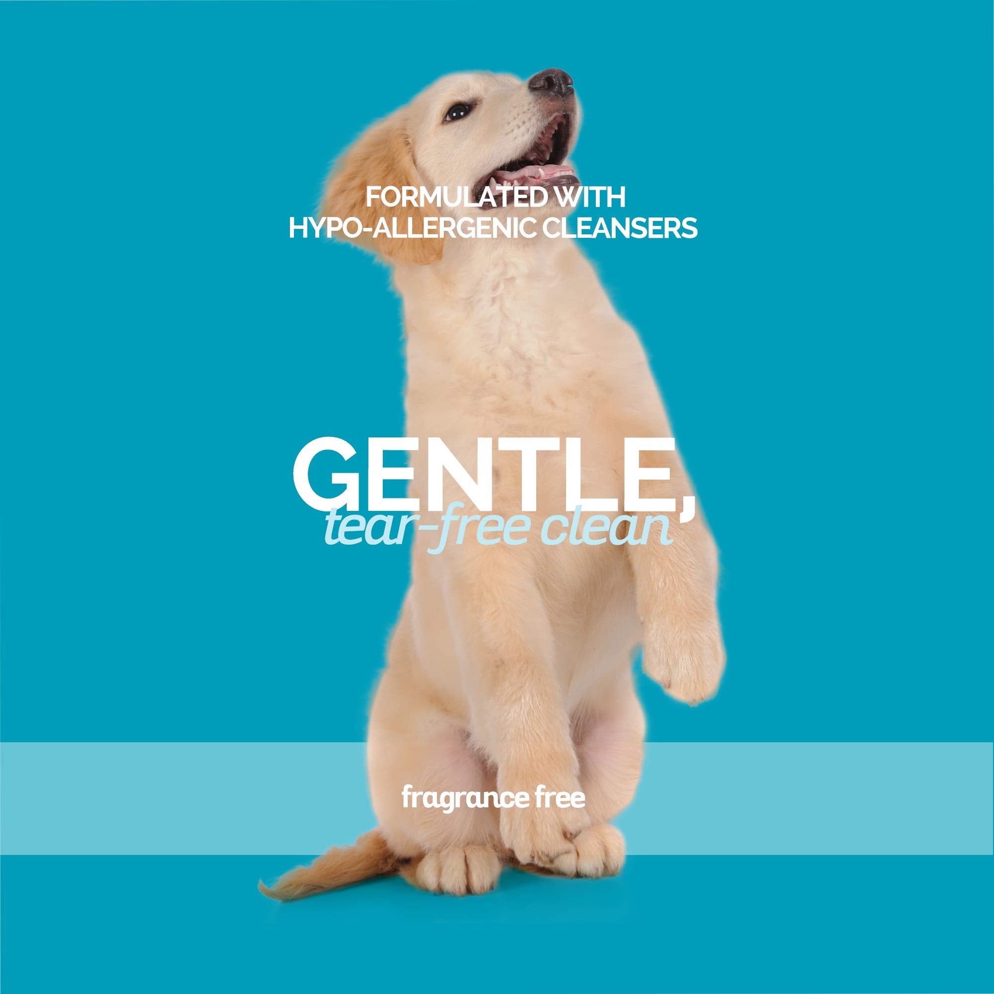 Bark2Basics Sensi-Skin Hypoallergenic Dog Shampoo, 1 Gallon, All Natural Ingredients, Sensitive Skin Pet Shampoo, Gentle, No Fra