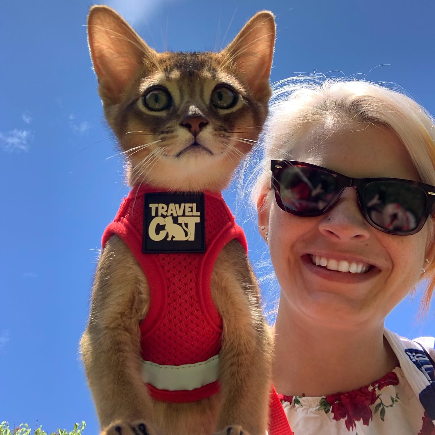 Travel Cat Harness And Leash Set - Adjustable Comfort Fit Mesh Vest Harnesses With Reflective Strap - Snug Fit Harness For Cats, Kitten For Outdoor Walking, Red, Medium (Chest 15-17.3 Inch)