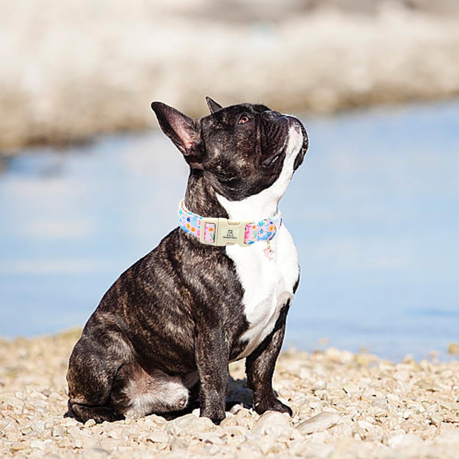 Lionheart Glory Dog Collar Sea Animals Print Pink Dog Collars Male Or Female Spring Summer Cute Collar Pet Gift Durable Adjustab