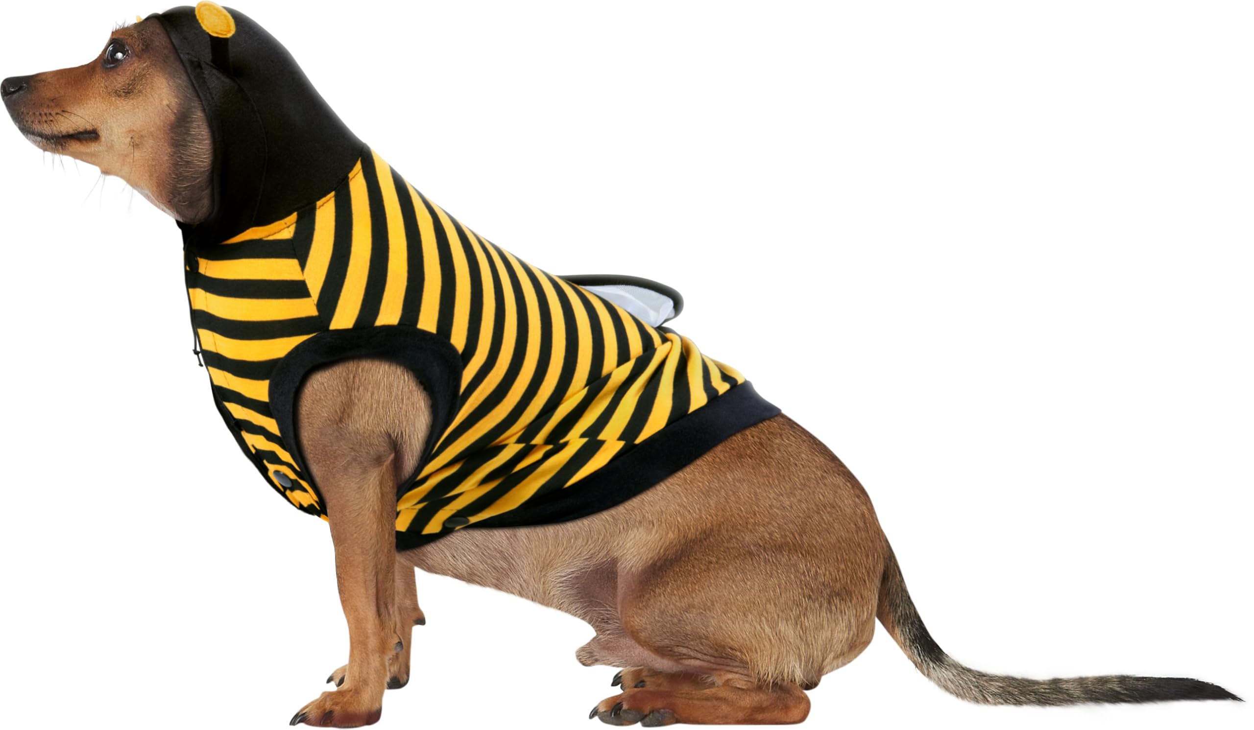 Rubies Bumble Bee Pet Costume for Dogs or Cats, XL