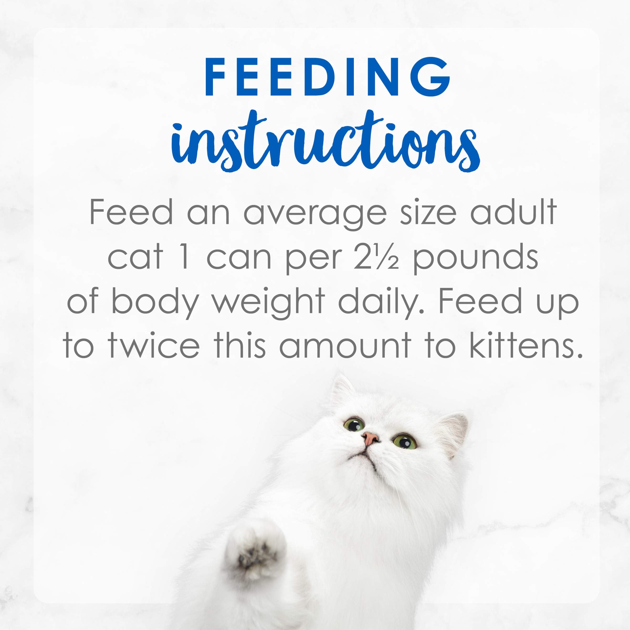 Purina Fancy Feast Delights With Cheddar Grilled Whitefish and Cheddar Feast in Wet Cat Food Gravy Cat Food - (Pack of 24) 3 oz.