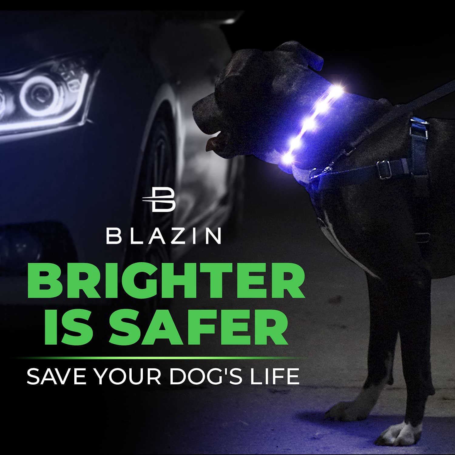 Blazin Led Light Up Dog Collar - 1,000 Feet Of Visibility - Brightest For Night Safety - Usb Rechargeable Waterproof Dog Collar