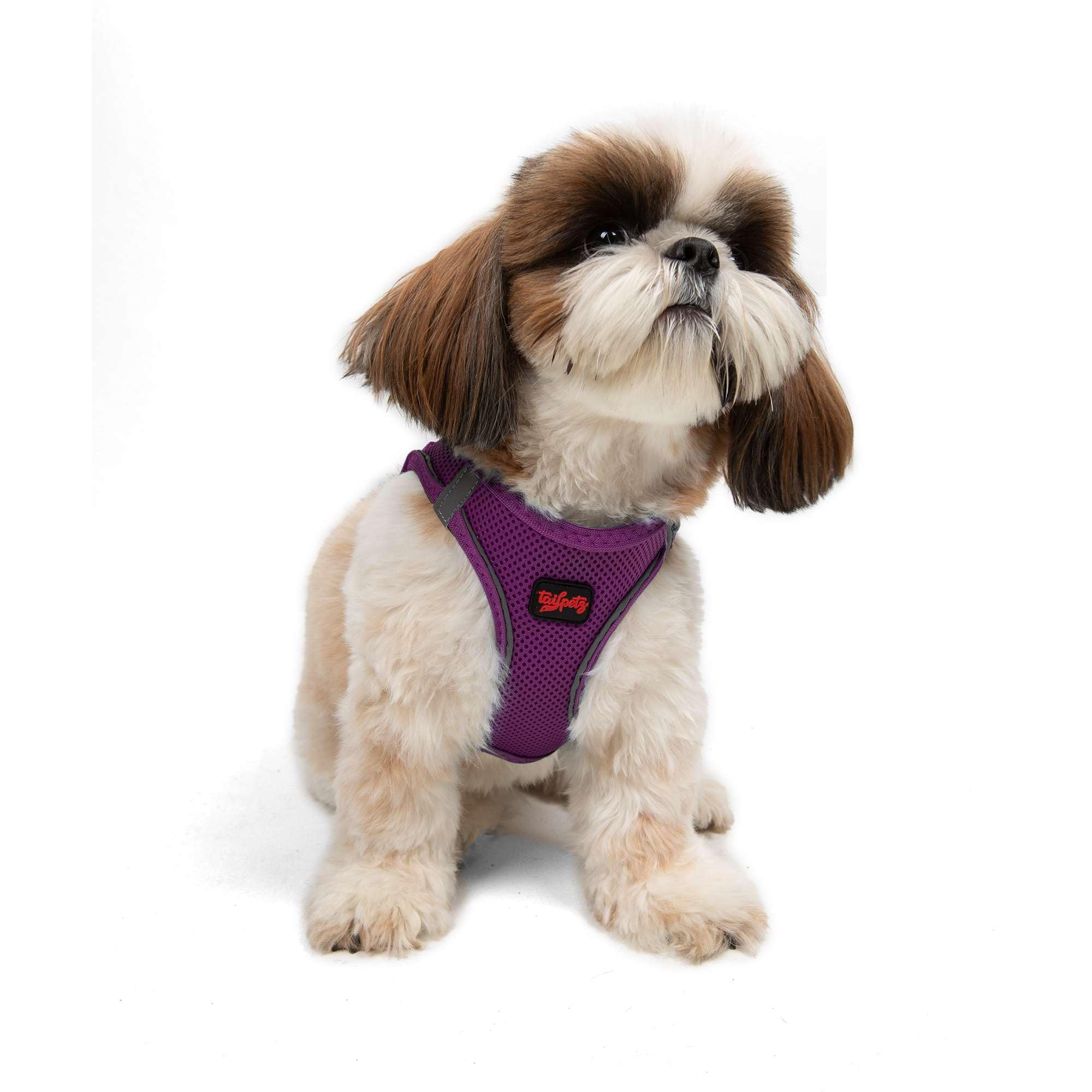 Tailpetz Purple Dog Harness Small Sized Dogs, Adjustable Step in No Pull Harness for Small Dogs, Reflective Puppy Harness for Pu