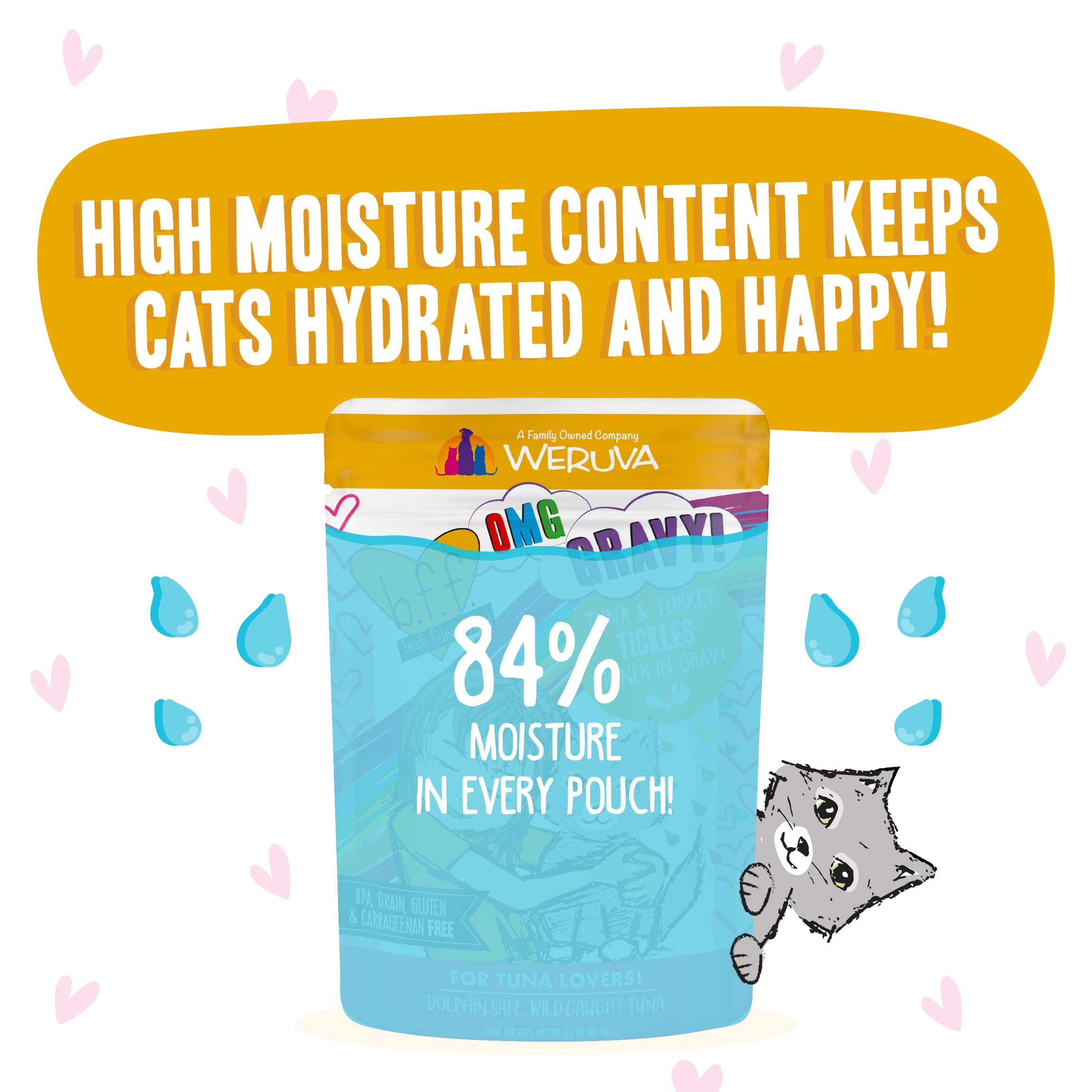 Weruva B.F.F. OMG - Best Feline Friend Oh My Gravy!, Tuna & Turkey Tickles with Tuna & Turkey in Gravy Cat Food, 3oz Pouch (Pack